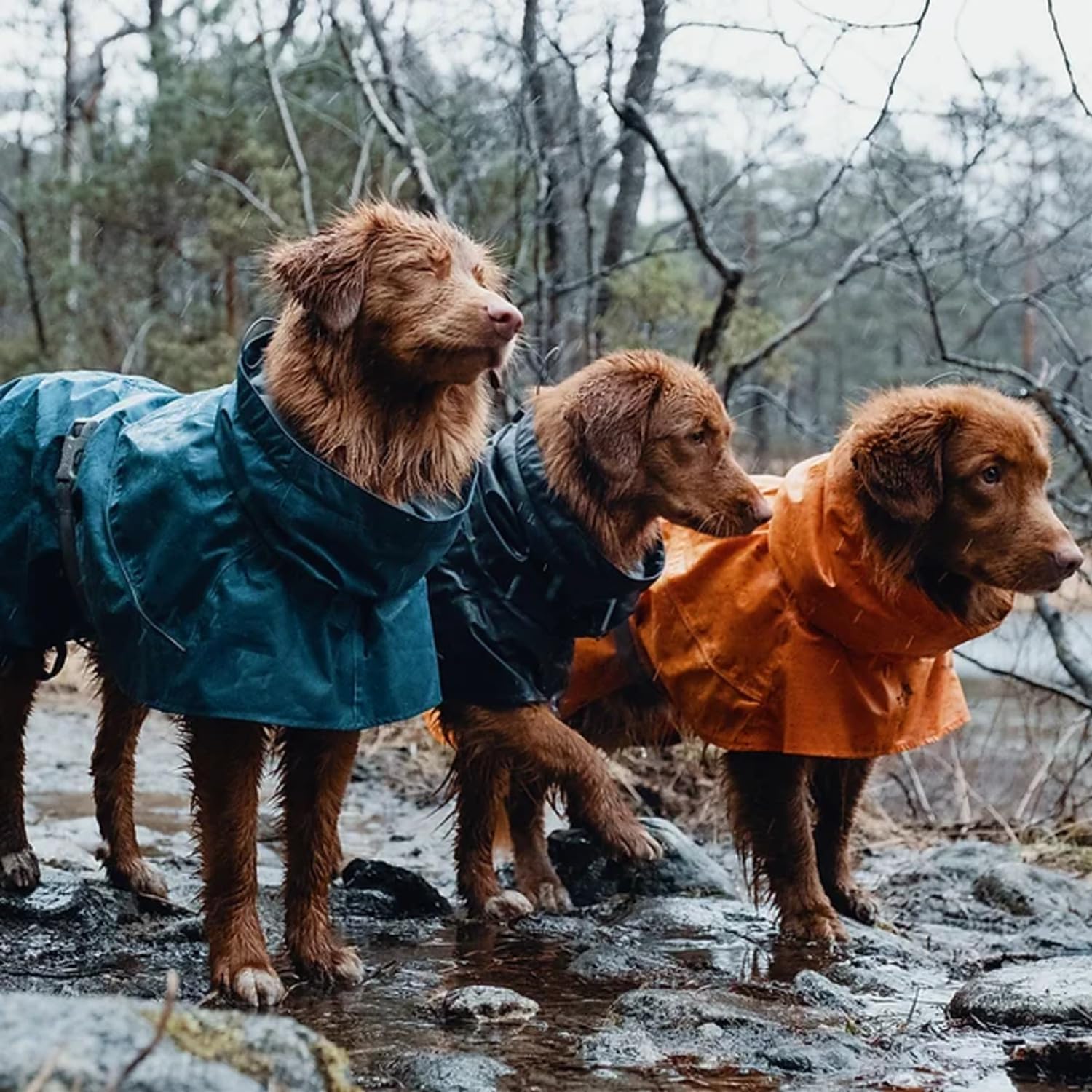 Hurtta Monsoon Coat, Dog Raincoat, Blackberry, 10 In