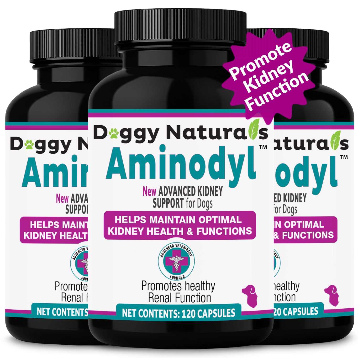 Aminodyl Kidney Support Supplement 1100mg for Dogs - Helps Supports Kidney Function - Promotes Health, Wellbeing & Vitality of K