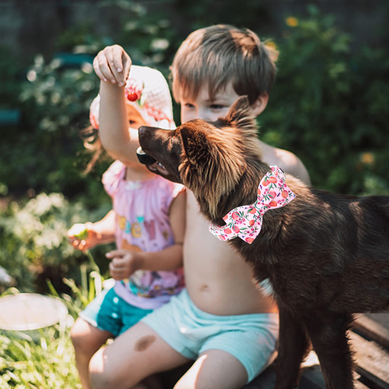 Lionheart glory Dog Collar with Bow Tie Pink Peach Dog Collar Girl Soft Durable Adjustable Collar Bows Spring Collar Dog Bow for
