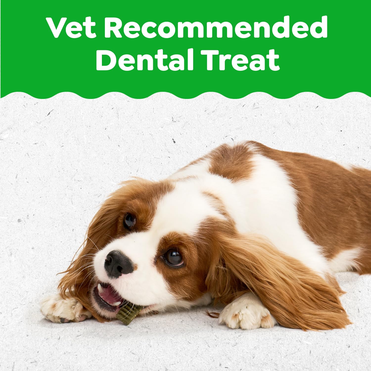 Greenies Puppy Regular Size Natural Dental Dog Treats, 6 oz. Pouch (6 Treats)