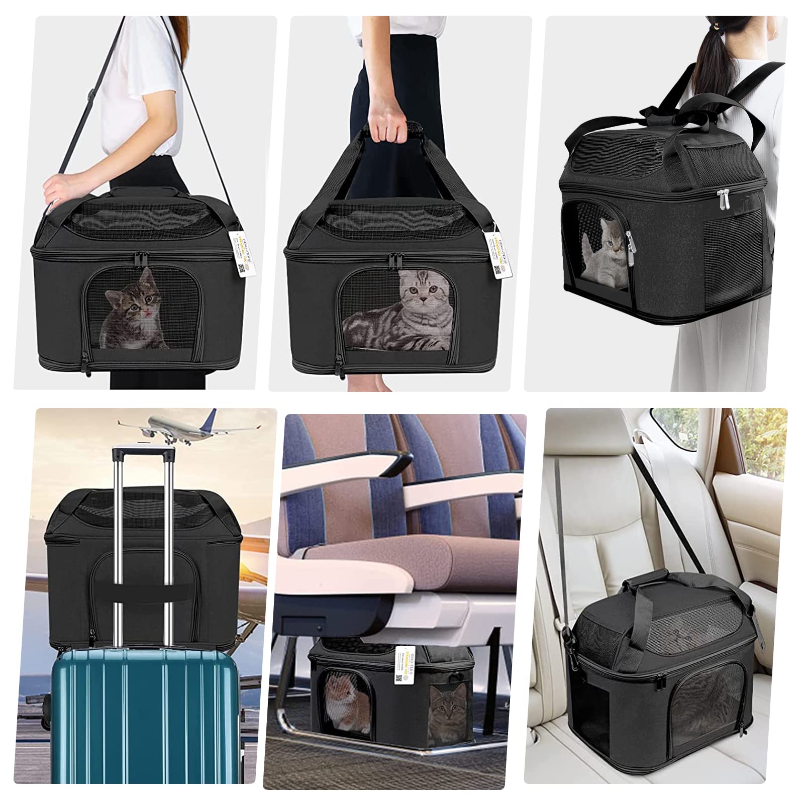 Bejibear Large Cat Carrier For 2 Cats, Soft Side Carrier For Cats Small Dogs, Collapsible Travel Dog Carrier Oeko-Tex Certified, Tsa Airline Approved Cat Carrier Backpack For 20 Lbs Cat,Black