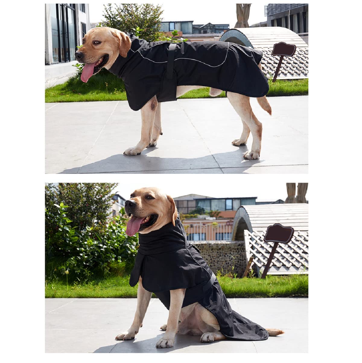 Black M Dog Raincoat - Waterproof Winter Jacket With Velvet Inner, Reflective Strip