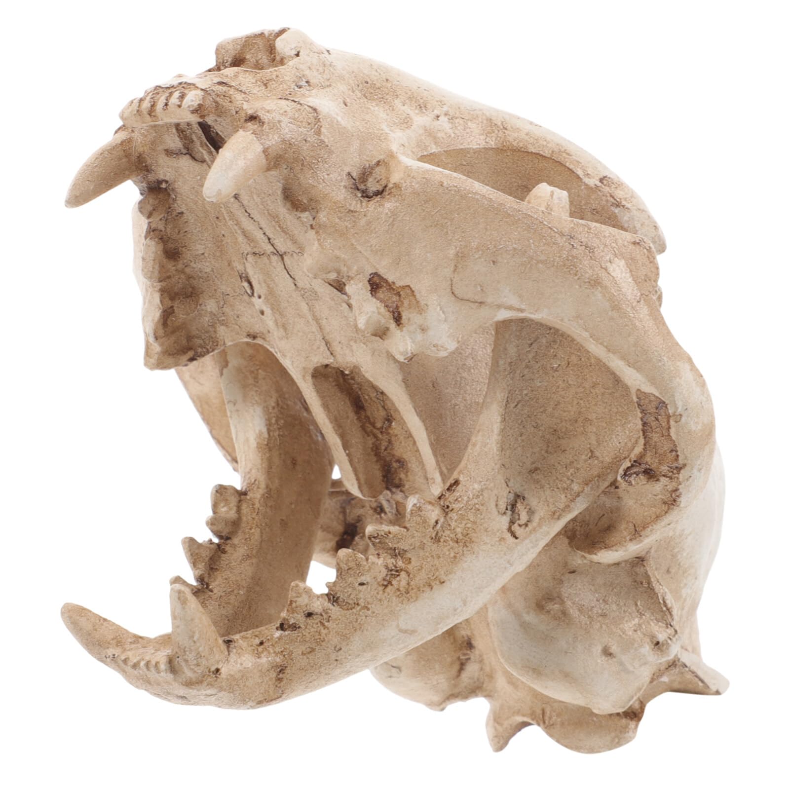 Amosfun Halloween Animal Scary Skeleton Props Resin Cat Skull Model Figurine Aquarium Fish Tank Landscape Decorations