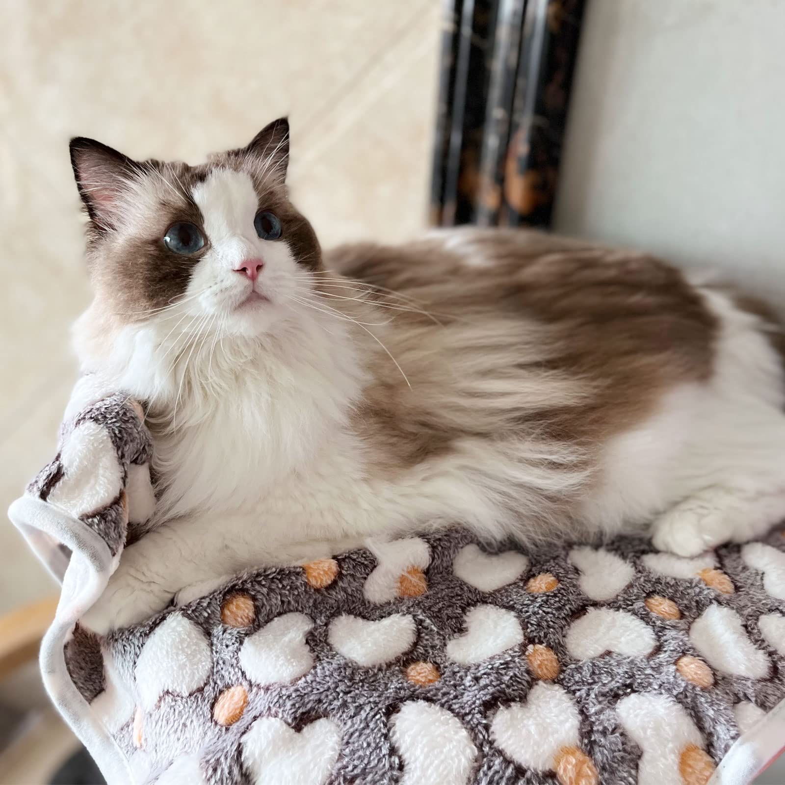 1 Pack 3 Puppy Blankets Super Soft Warm Sleep Mat Grey Cute Print Blanket Fluffy Fleece Pet Blanket Flannel Throw Dog Blankets For Small Dogs Puppy Dogs Fluffy Cats,Love-Medium(29'X20')