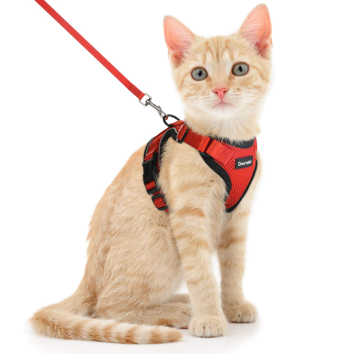 Dooradar Cat Harness And Leash Set, Escape Proof Safe Adjustable Kitten Vest Harnesses For Walking, Easy Control Soft Breathable Mesh Jacket With Reflective Strips For Cats, Reddish Orange, S