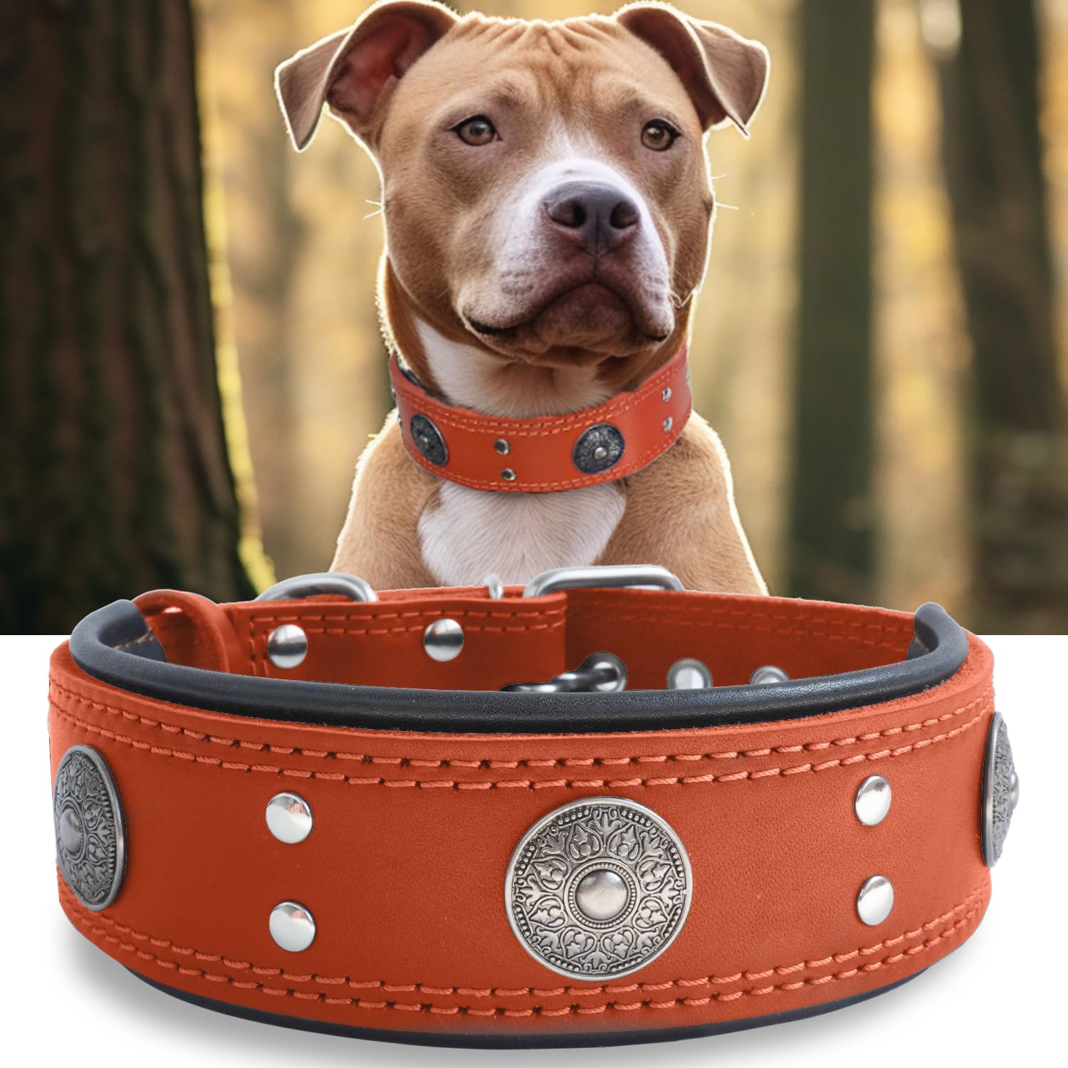 Leather Dog Collar, 2 Inches Wide Heavy Duty Genuine Leather Collars, Handmade, Soft, And Luxury, Eye-Catching Best Choice For L