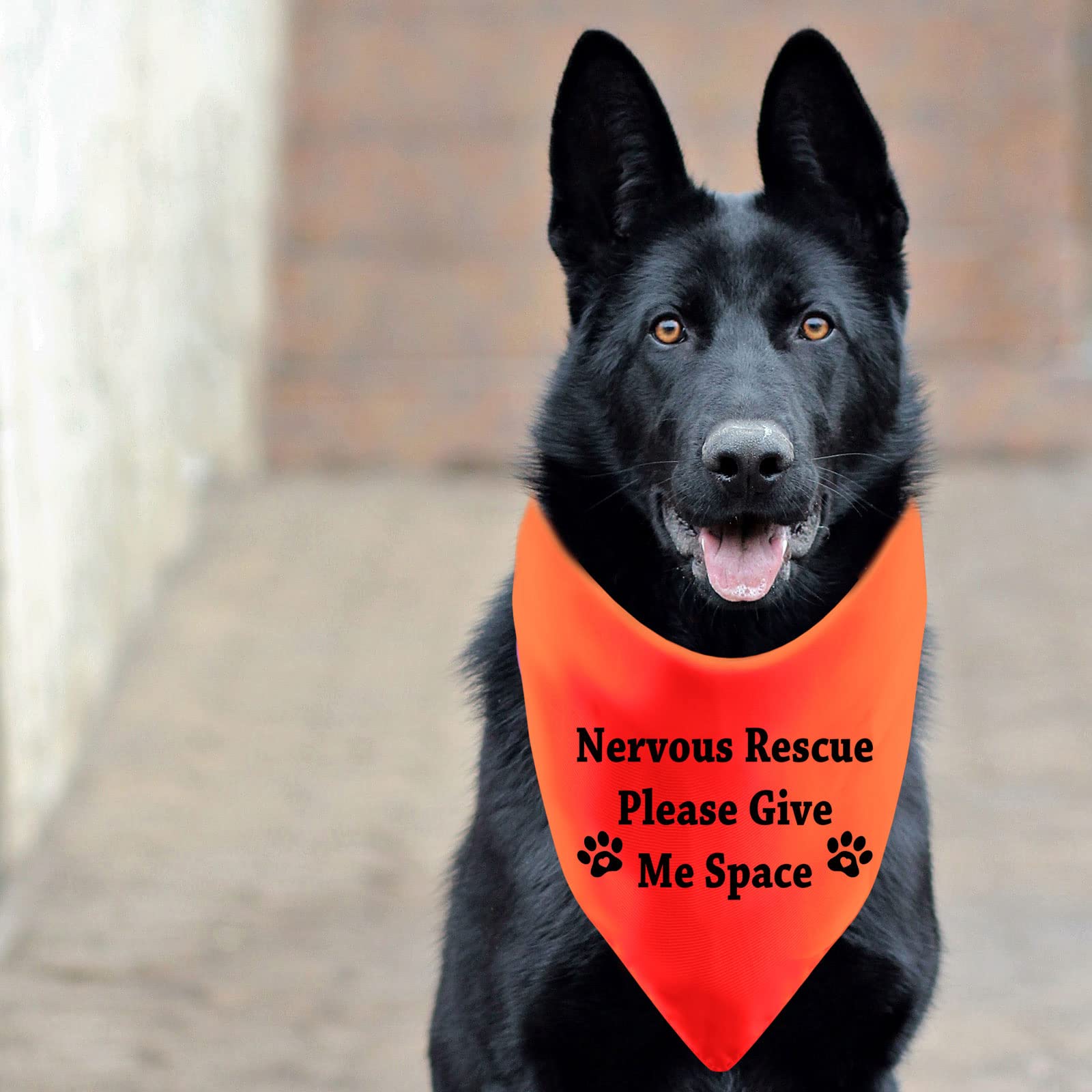 Funny Dog Bandana Nervous Rescue Please Give Me Space Dog Pet Scarf Baby Shower Alert Pet Bandanas(Give Me Space)