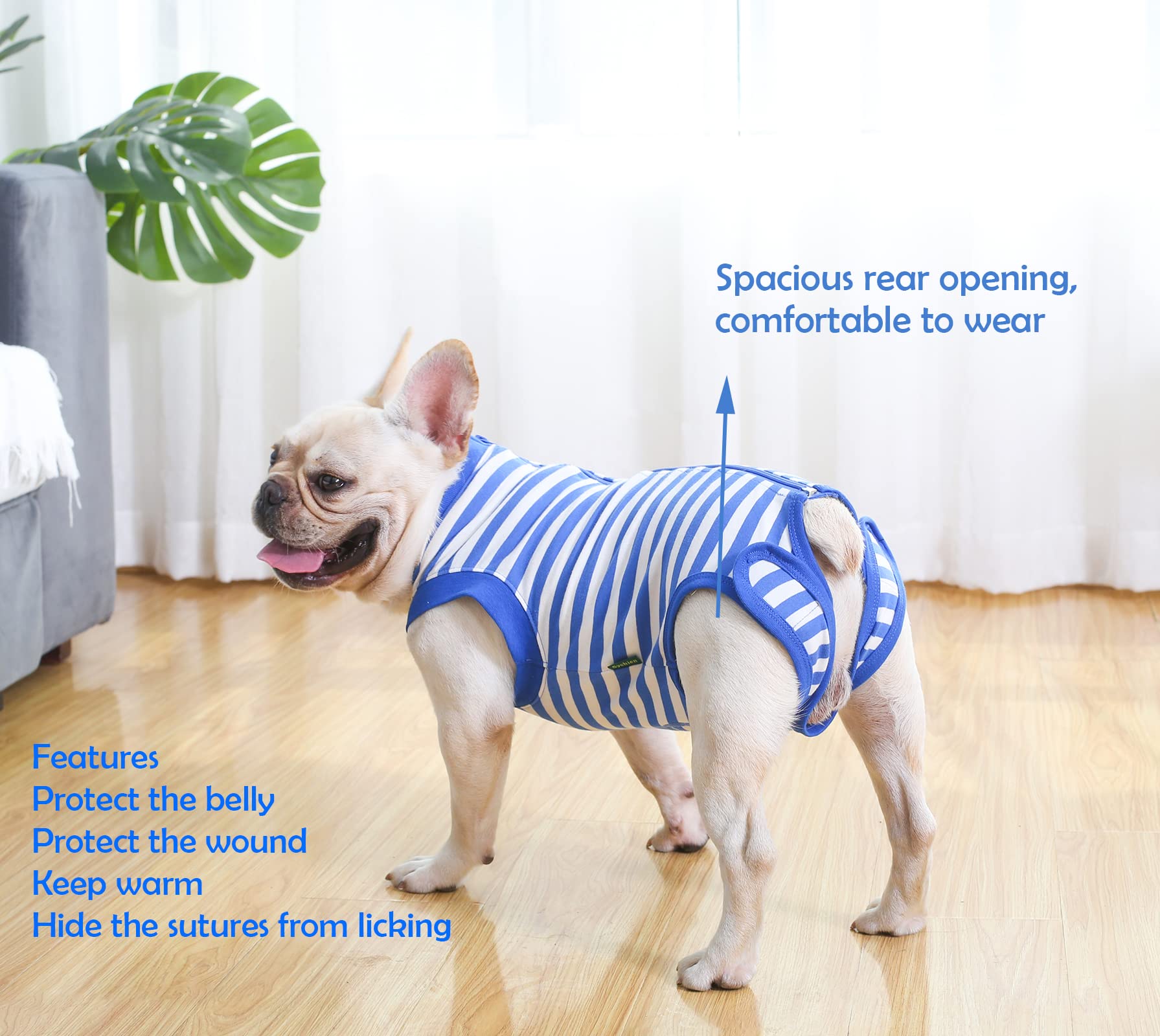 Sychien Dog Recovery Suit Post Surgery Shirt For Puppy,Small Female Male Wound Protective Suit,Blue Xs