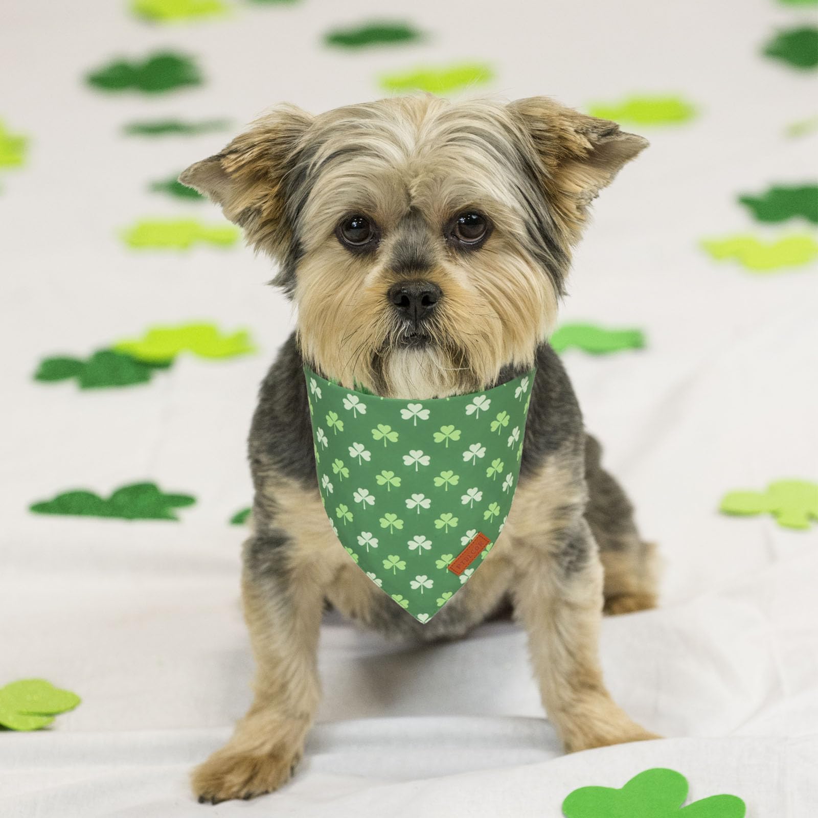 Ptdecor St.Patrick'S Day Dog Bandana,Green Shamrock Reversible Holiday Dog Scarf, Multi Size, Triangle Irish Bandanas For Small