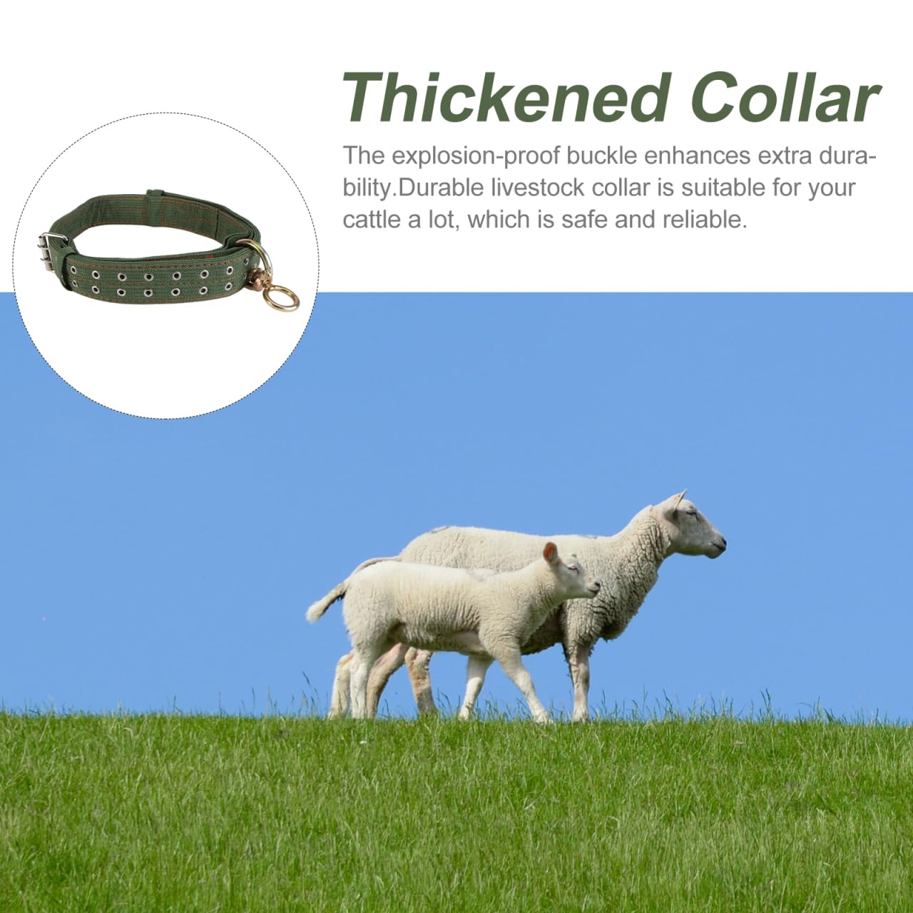Doitool Cow Collar Canvas Calf Collar Neck Strap Adjustable Buckle Livestock Traction Necklace For Farm Animals Sheep Horse Pet
