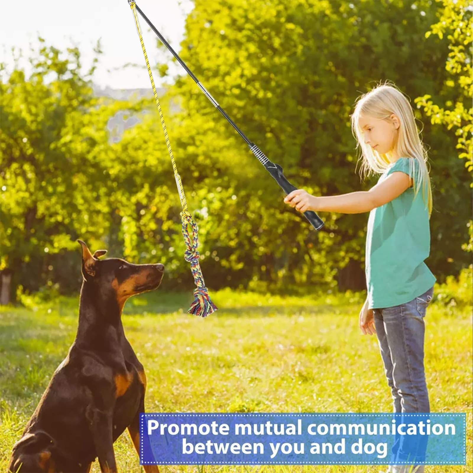 Dibbatu Flirt Pole For Dogs Interactive Dog Toys For Large Medium Small Dogs Chase And Tug Of War, Dog Teaser Wand With Lure Che