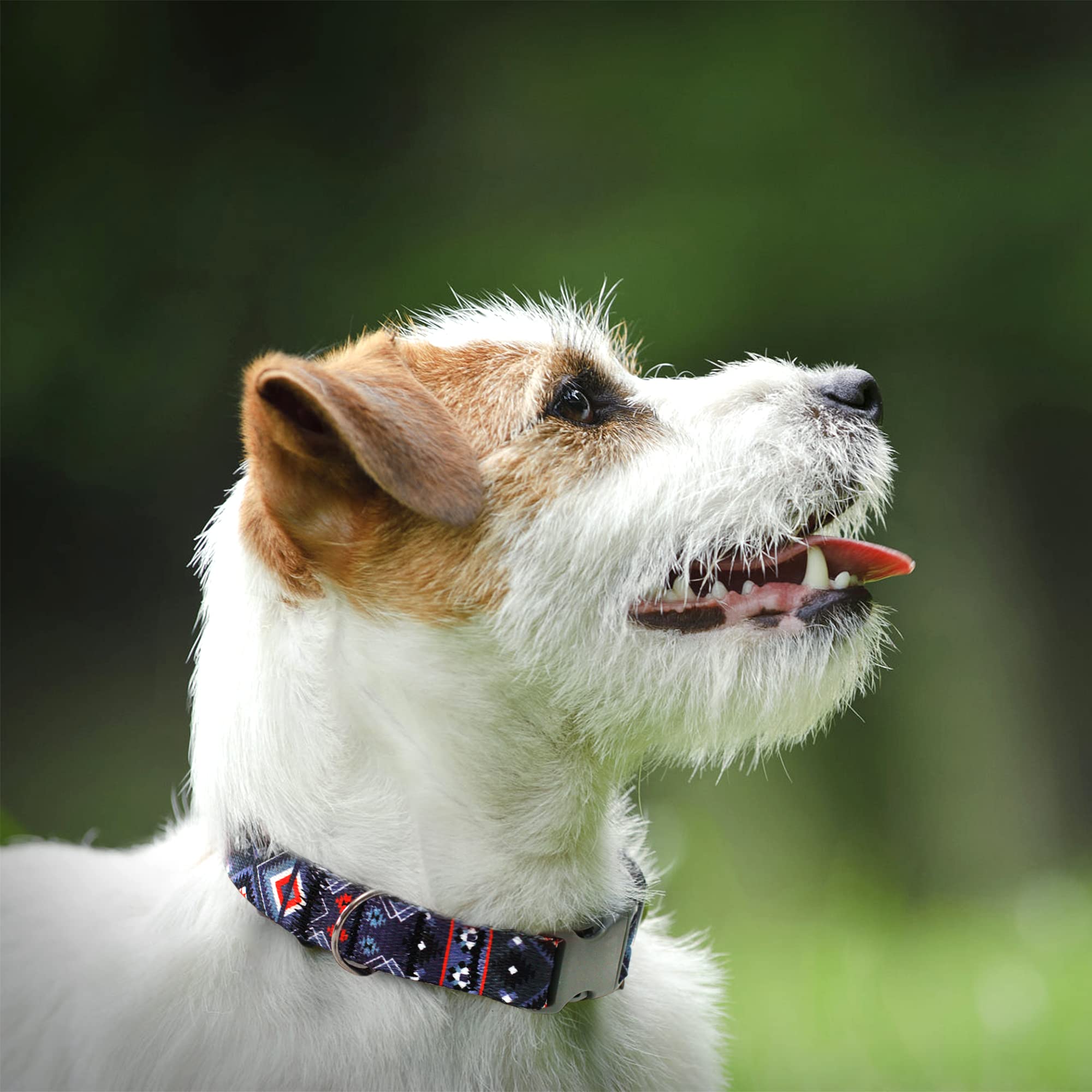 Southwest Dog Collar Tribal Pattern Adjustable Puppy Pet Collars For Small Medium Large Dogs Aztec Print (Aztec, Neck Fit 18'-26')