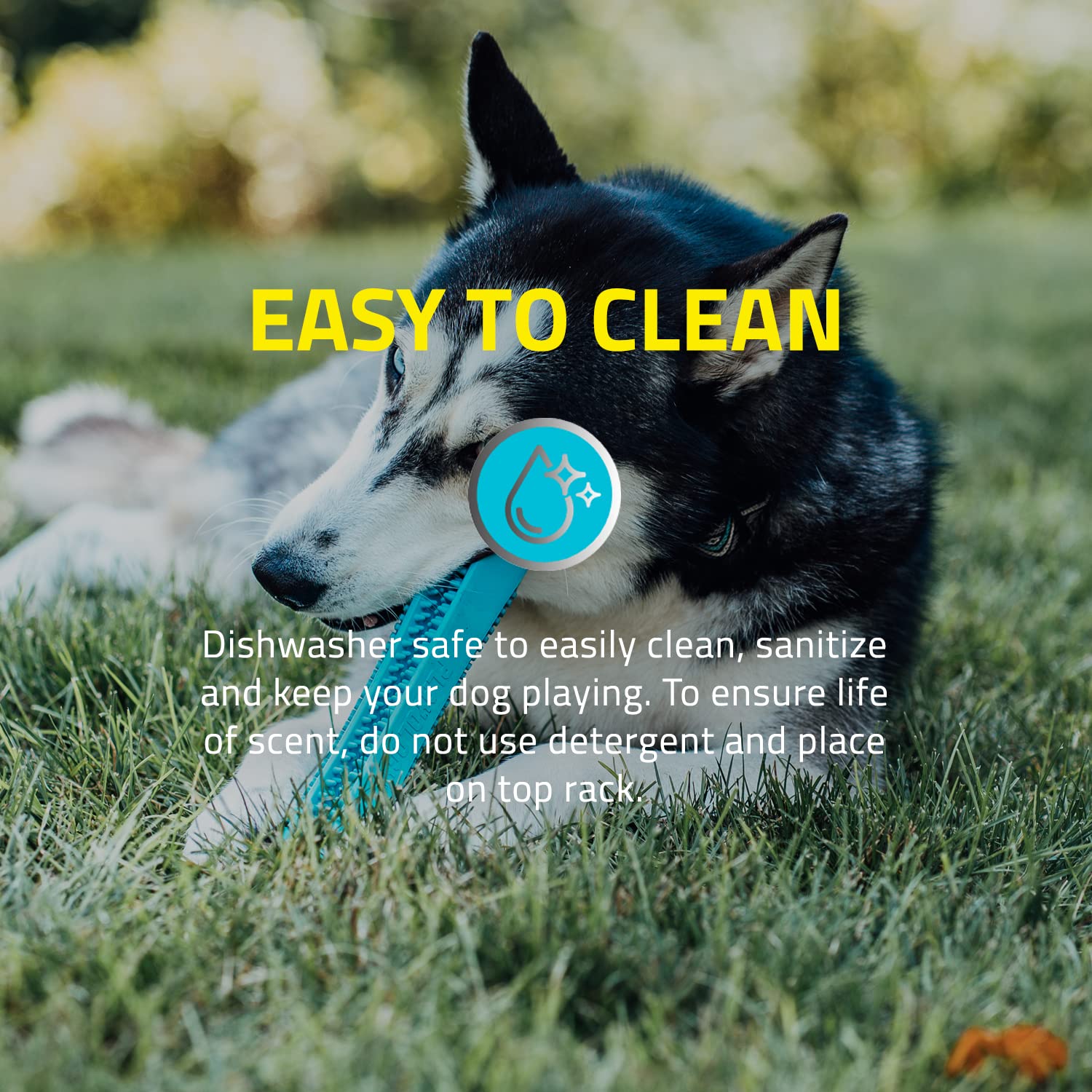 Playology Silver Dental Chew Stick Dog Toy, Medium - Designed for Senior Dogs (15-35lbs) - Engaging All-Natural Peanut Butter Sc