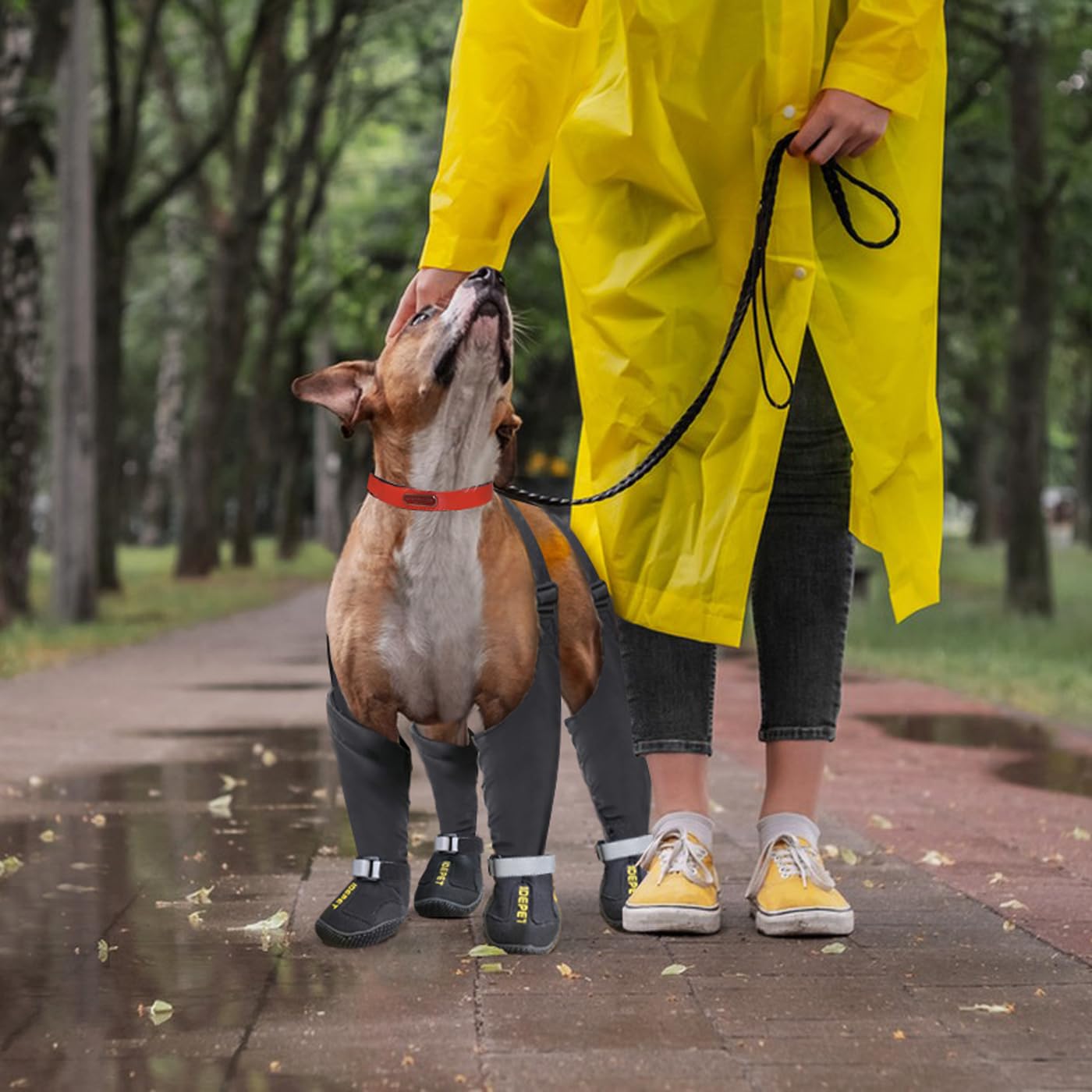 Idepet Dog Suspender Boots, Anti-Slip & Fall Waterproof Tall Dog Shoes Boots Legging for Small Medium Dog, Adjustable Suspender