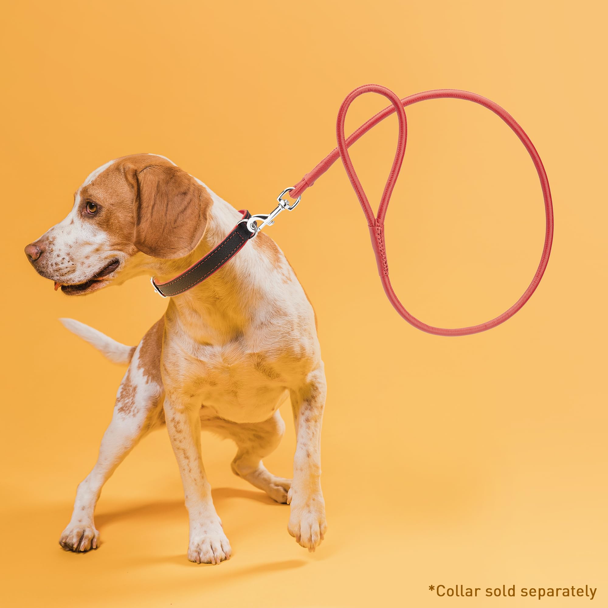 Dogline Soft And Padded Rolled Round Leather Leash For Dogs W1/4' - L72, Red