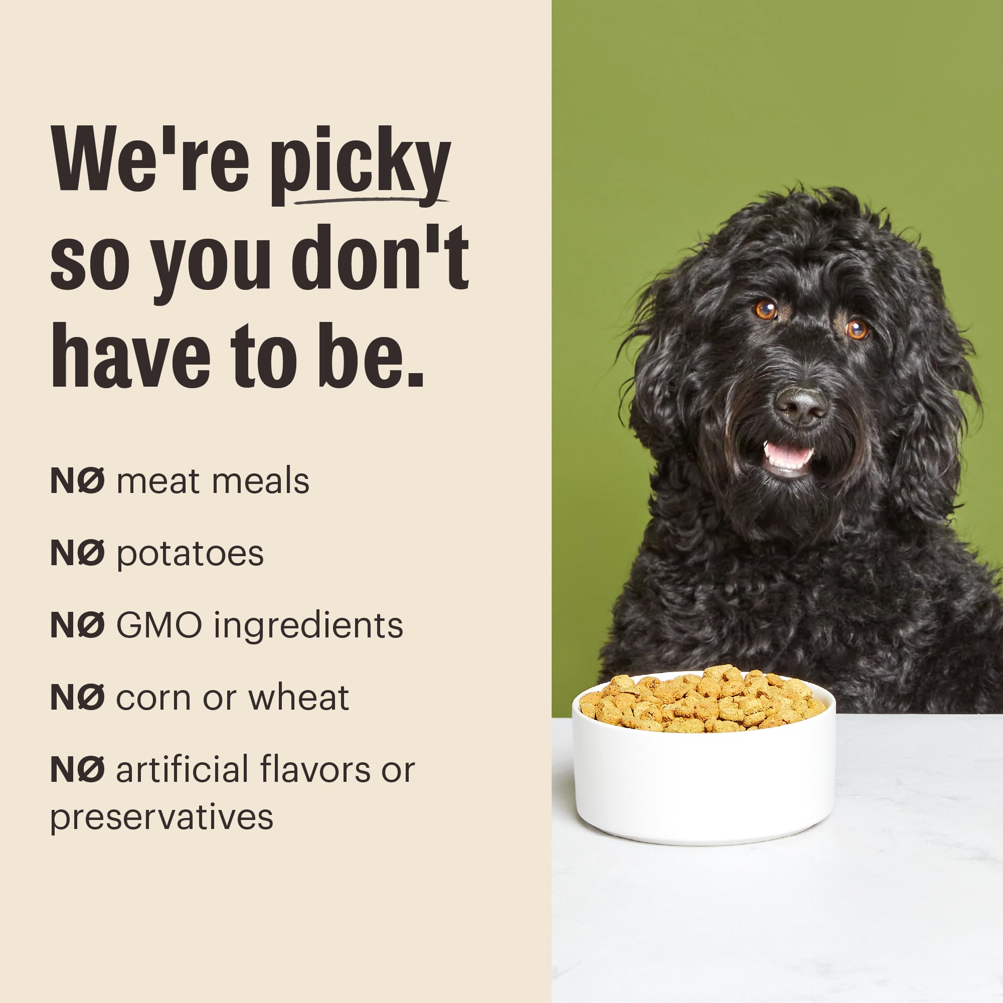 The Honest Kitchen Human Grade Essential Clusters Dog Whole Grain Turkey & Chicken 5 lb Bag