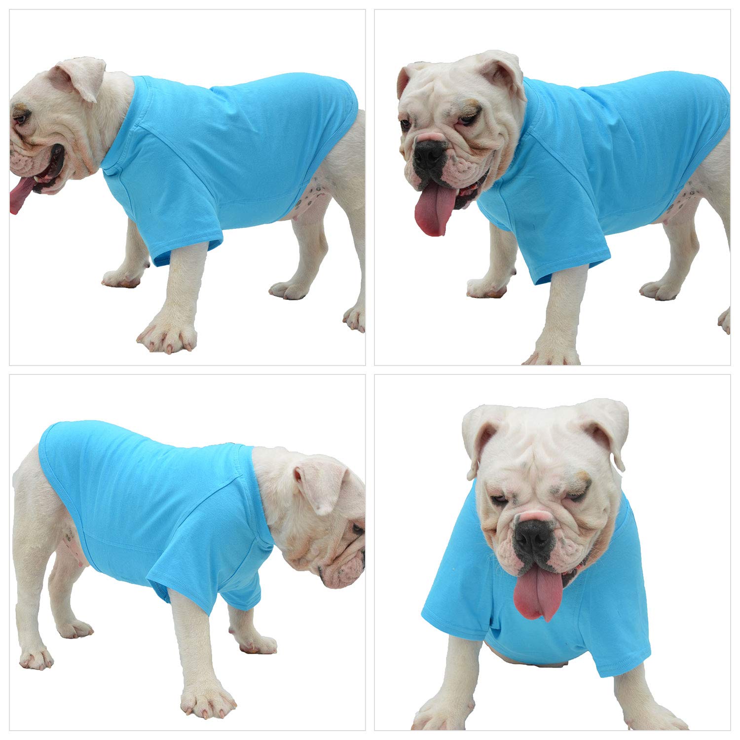 Lovelonglong Bulldog Clothes Dog Clothing Blank T-Shirt Tee Shirts For French Bulldog English Bulldog American Pit Bull Pugs 100% Cotton Skin Care Lake-Blue B-L