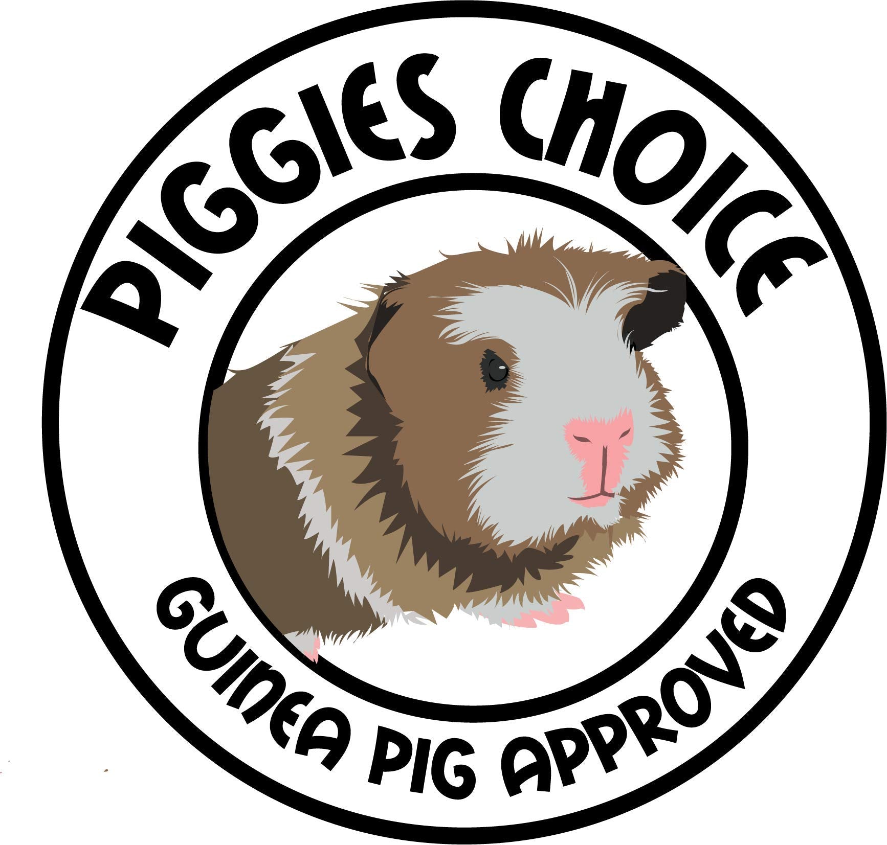 Piggies Choice The Space House All Natural Sturdy Pine Wood Corner Hideout Hidey Guinea Pig Hut (Teal)