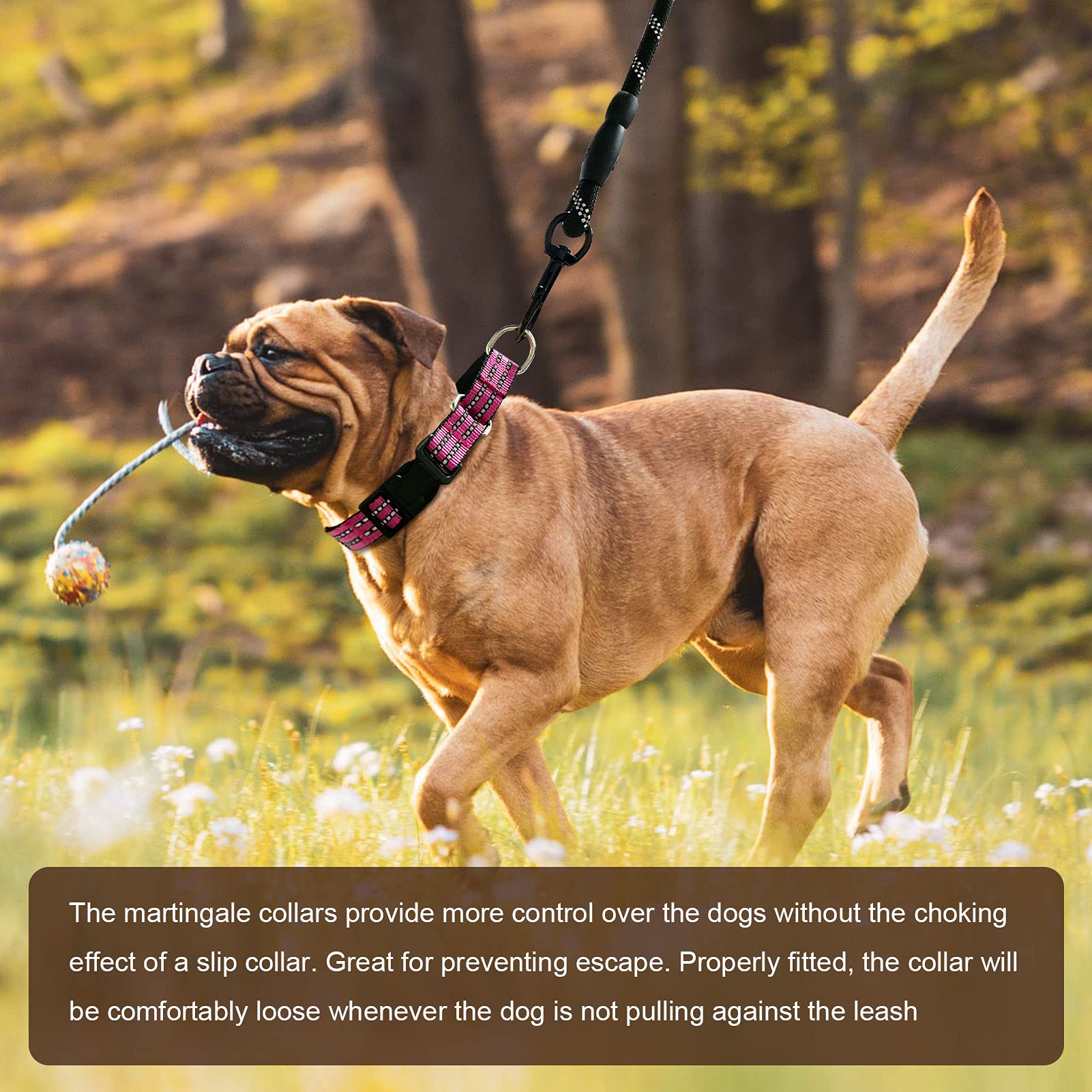 Hikiko Martingale Dog Collars Reflective Nylon Puppy Dog Collar With Quick Release Buckle Adjustable Training No Slip Dog Collar