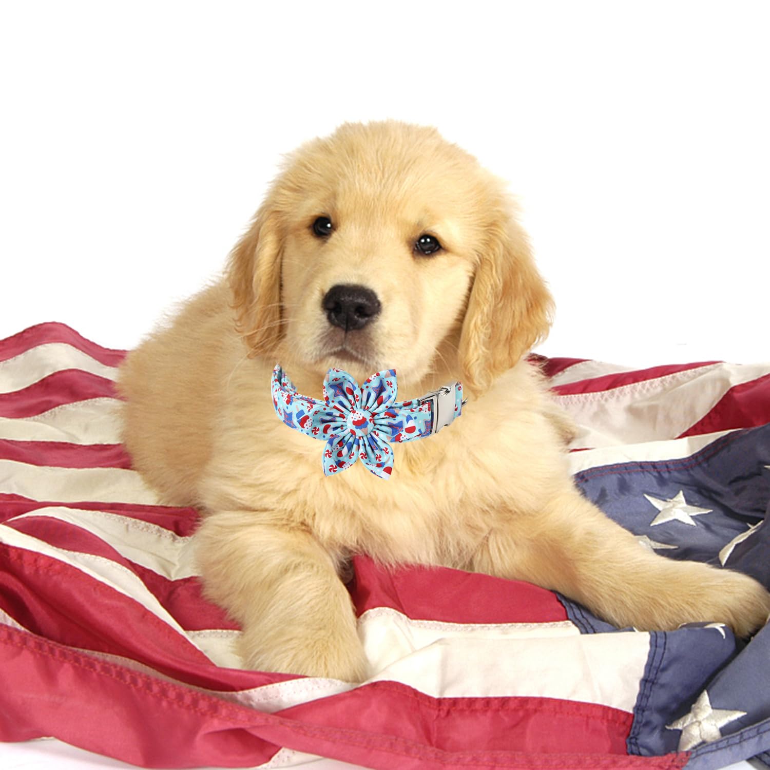 Maca Bates American Flag 4Th Of July Dog Collar With Flower Bow 4 Of 7 For Dogs Adjustable Durable Icecream Patriotic Usa Collar