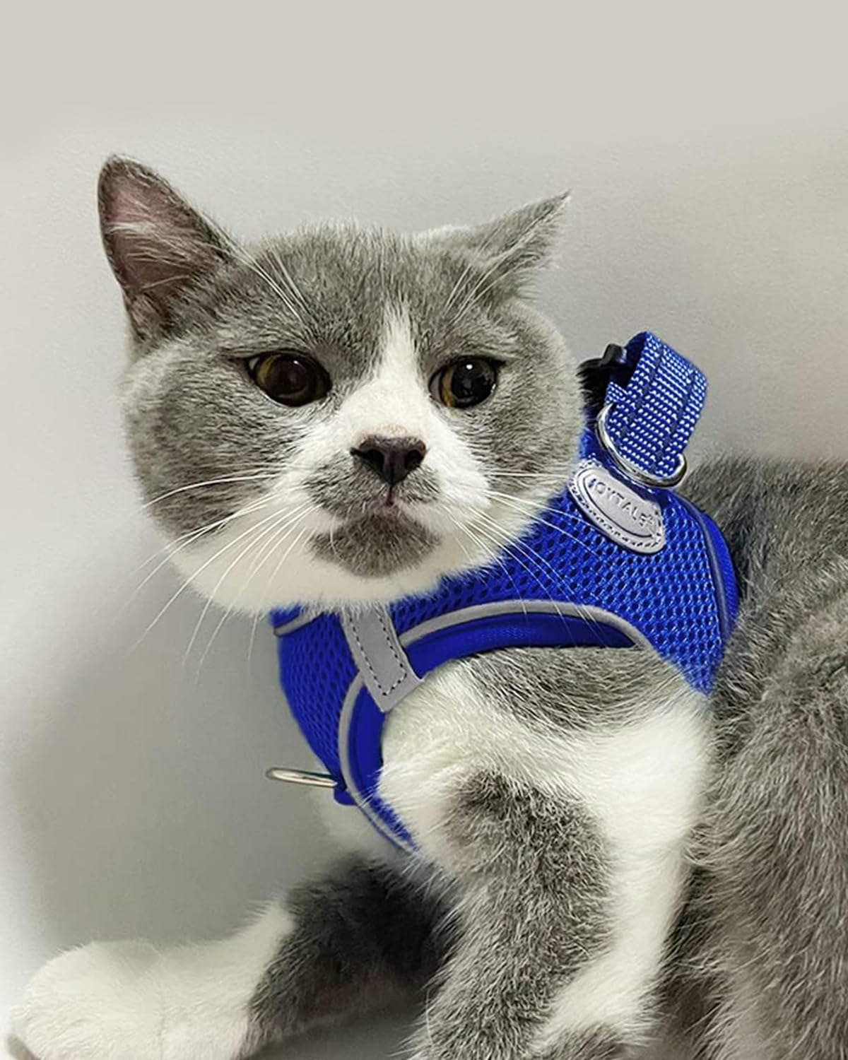 Joytale Step In Dog Harness,12 Colors,Breathable Mesh Vest Harness,Reflective Soft Padded Harnesses For Cats And Puppies Dogs,Na