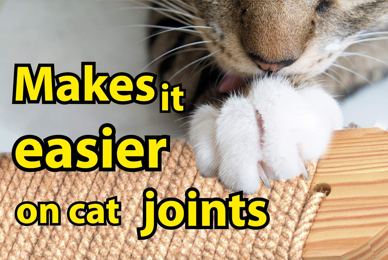 Skywin Cat Steps - Solid Rubber Wood Cat Wall Stairs Great For Scratching And Climbing - Easy To Install Wall Mounted Cat Wall Shelves For Playful Cats (Wood, Left-Right)