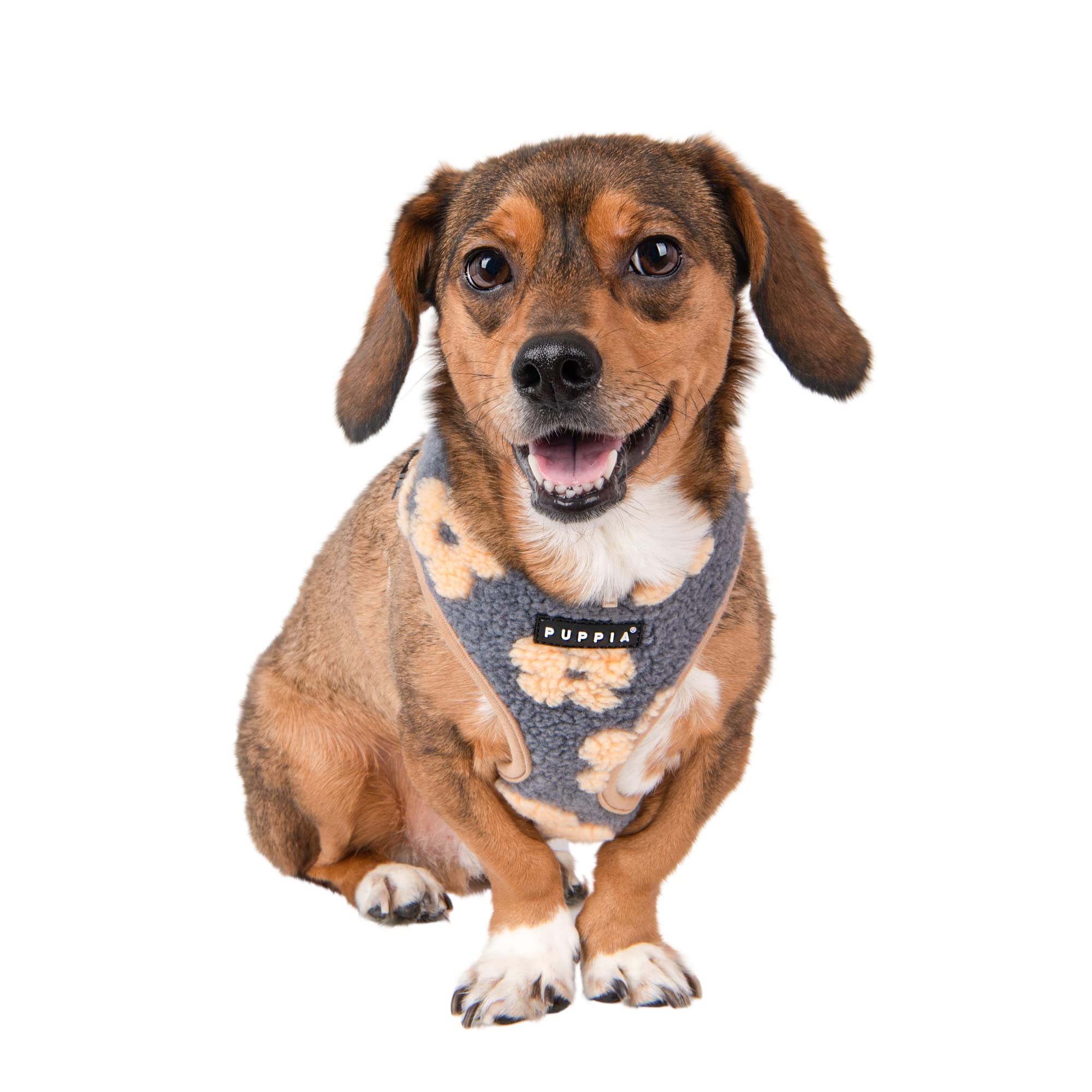 Puppia Ren Dog Harness Over-The-Head Warm Winter Flower Pattern Adjustable Chest For Small And Medium Dog, Beige, Medium