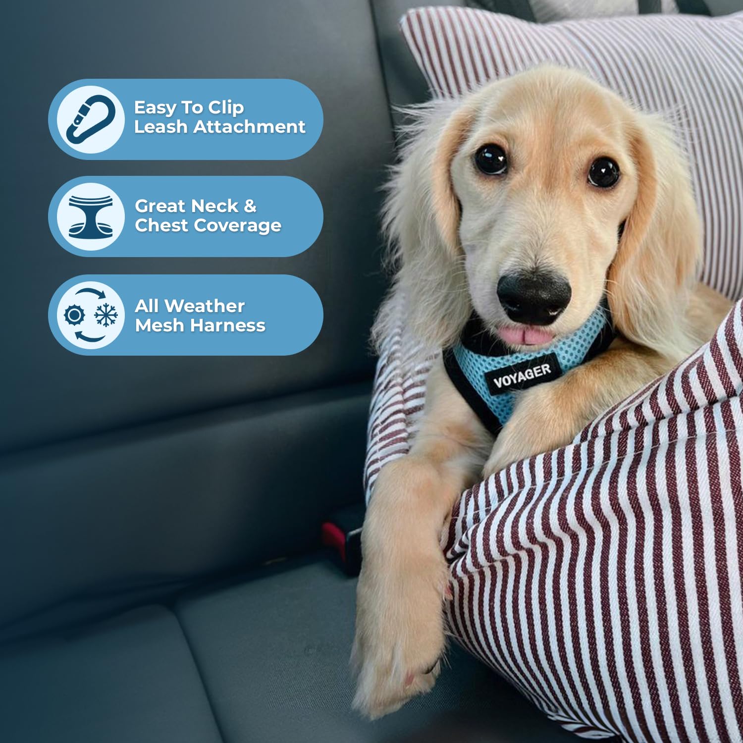 Voyager Step-In Air Dog Harness - All Weather Mesh Step In Vest Harness For Small And Medium Dogs And Cats By Best Pet Supplies - Harness (Baby Blue/Black Trim), M (Chest: 16-18')