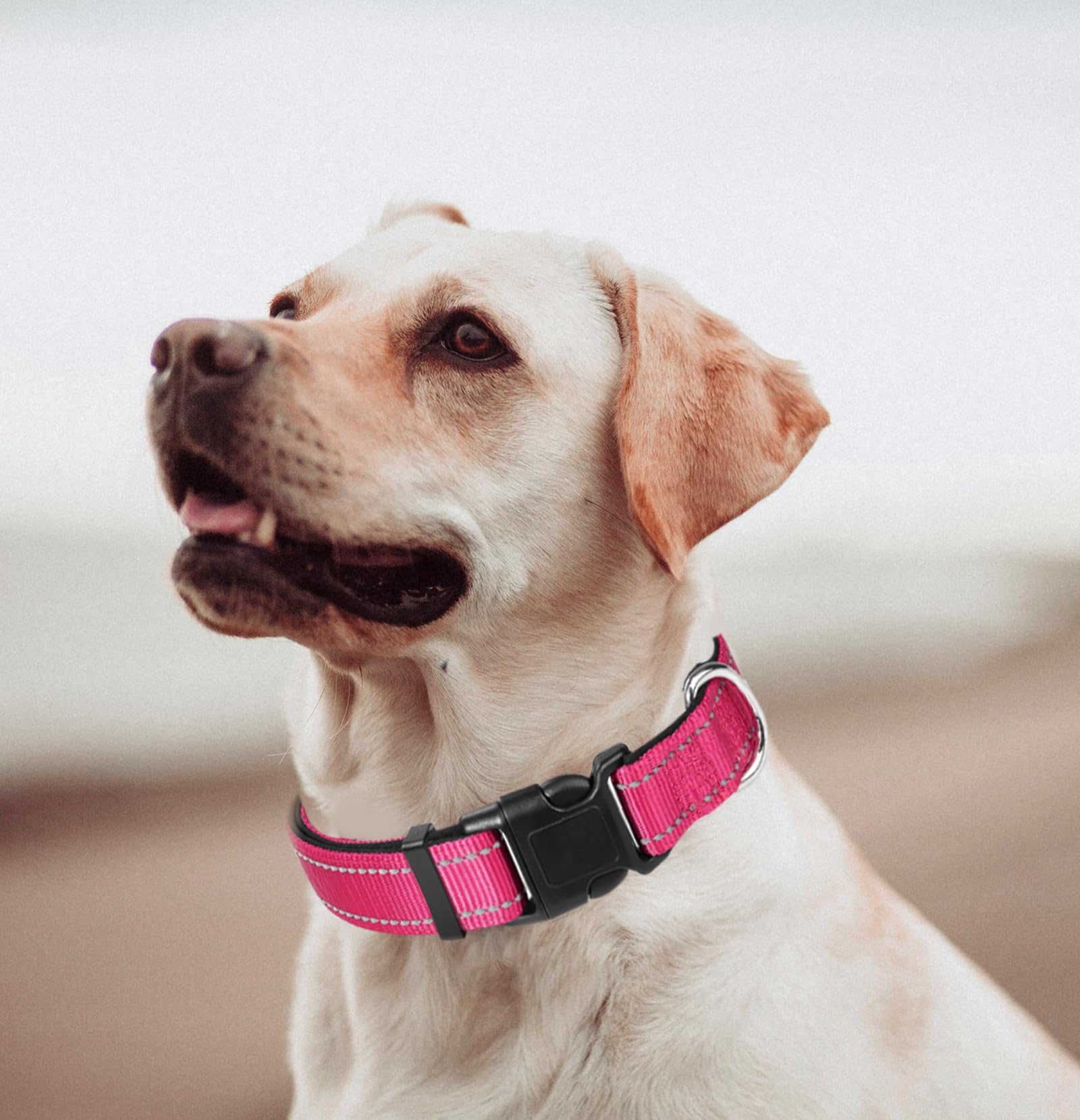 Pink Dog Collar, Reflective Pet Collar with Buckle Adjustable Safety Nylon Collars for Small Medium Large Dogs, Hot Pink, XS