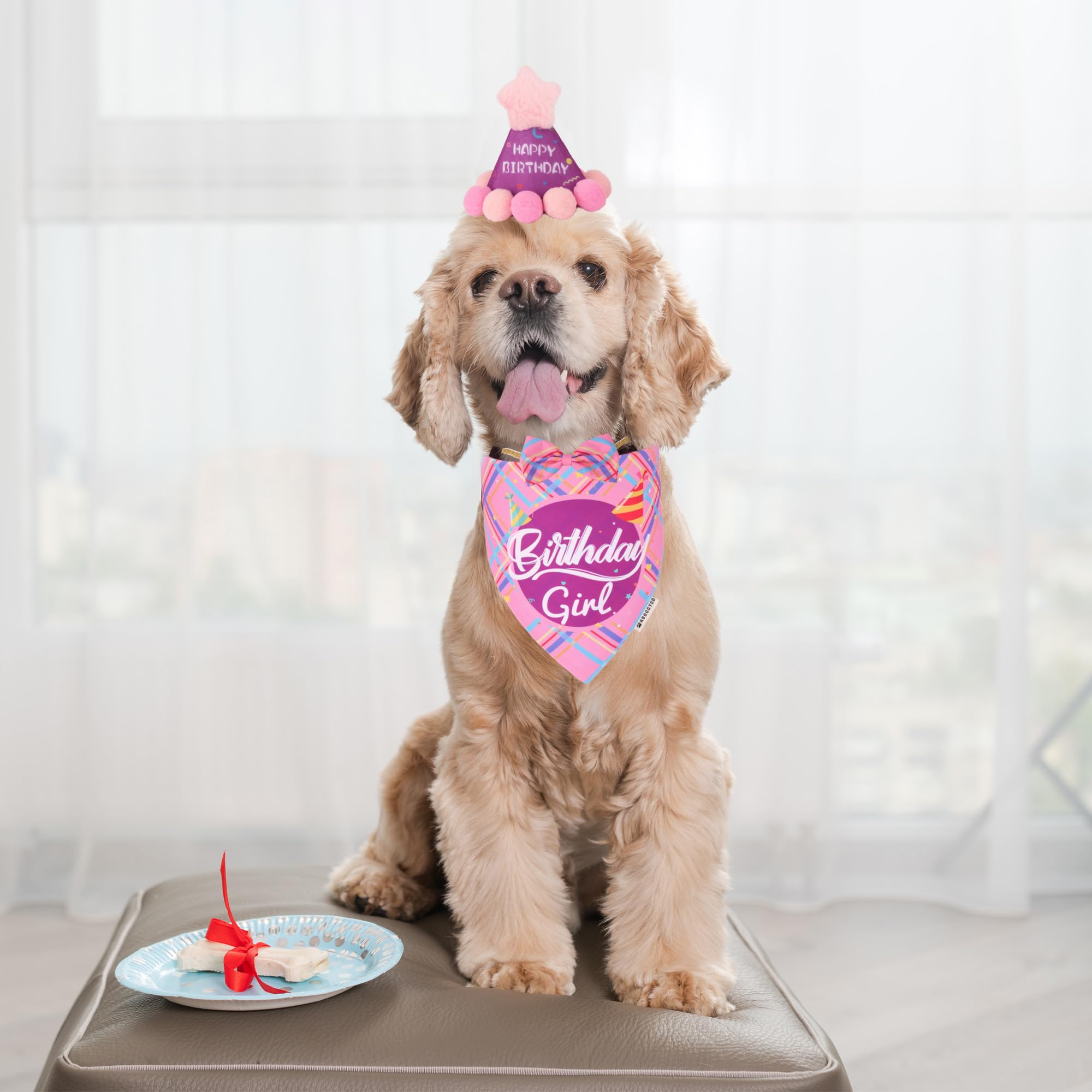 Adoggygo Dog Birthday Party Supplies, Pink Birthday Girl Pet Bandana Hat Bowtie Set For Small Dogs (Small)