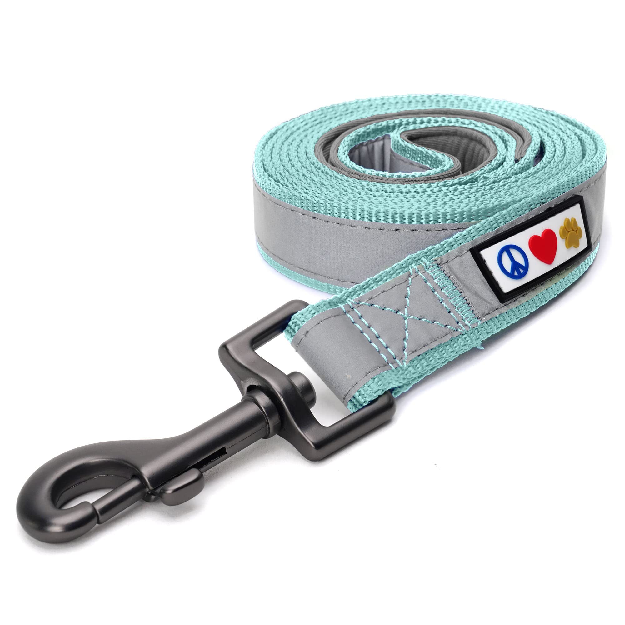 Pawtitas 6 FT Padded Dog Leash with Comfortable Neoprene Padding Handle - Teal Lead | Reflective Dog Leash with Highly Reflectiv