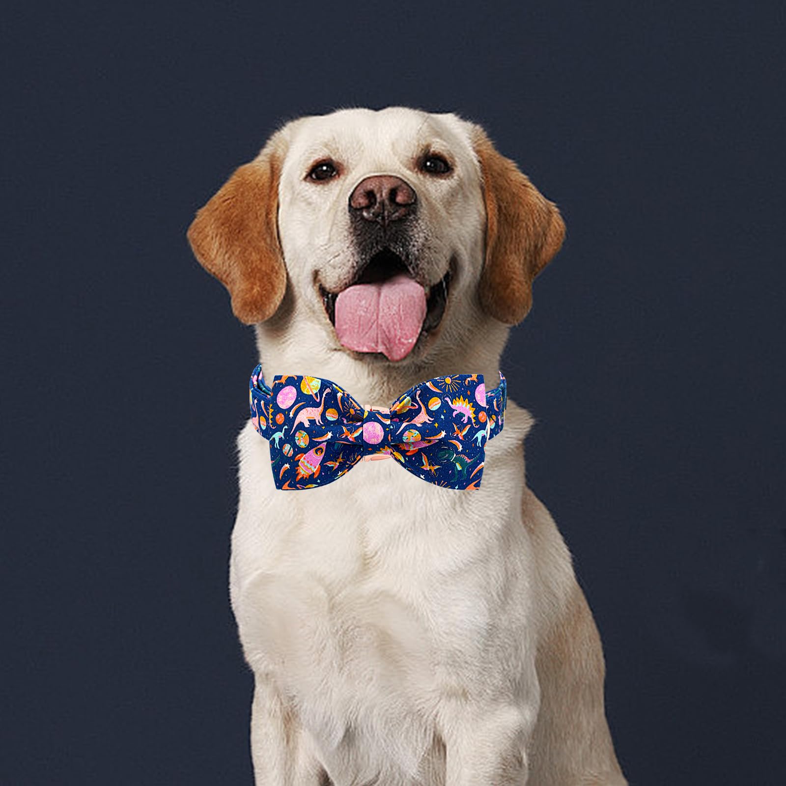 Lionheart Glory Dog Bow Collar Dinosaurs Pattern Cute Collars For Small Dogs,Soft Duty Adjustable Dog Collar With Bowtie Spring