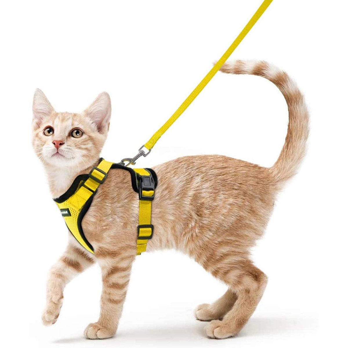 Rabbitgoo Cat Harness And Leash For Walking, Escape Proof Soft Adjustable Vest Harnesses For Cats, Easy Control Breathable Reflective Strips Jacket, Yellow, S