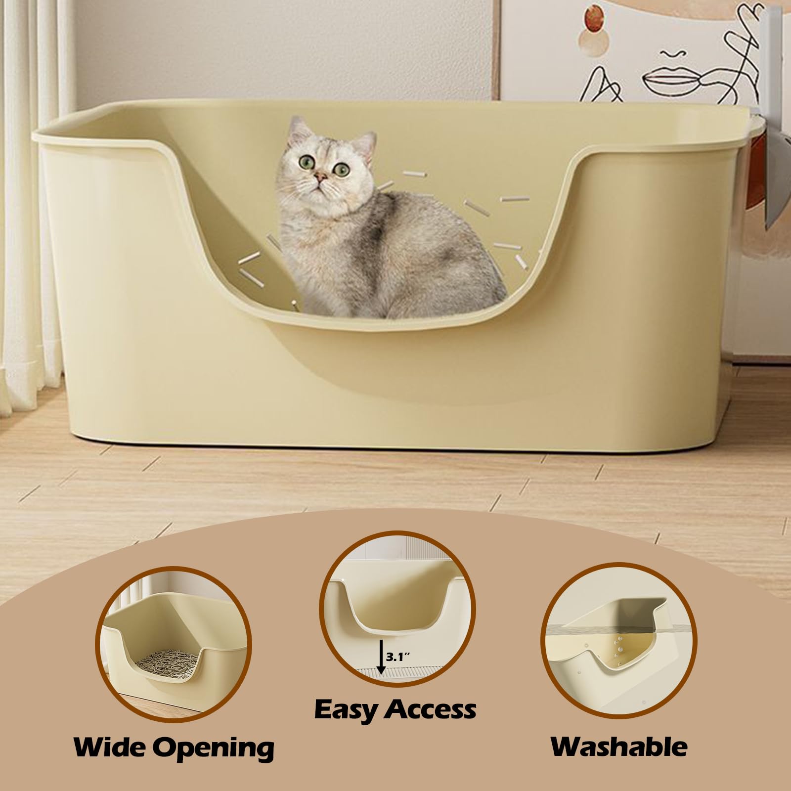 LoopTime Small Cat Litter Box with High Sides,Cat Boxes for Indoor Cats,Cat Litter Pan for Kitty,Litter Box with Low Entry,Easy