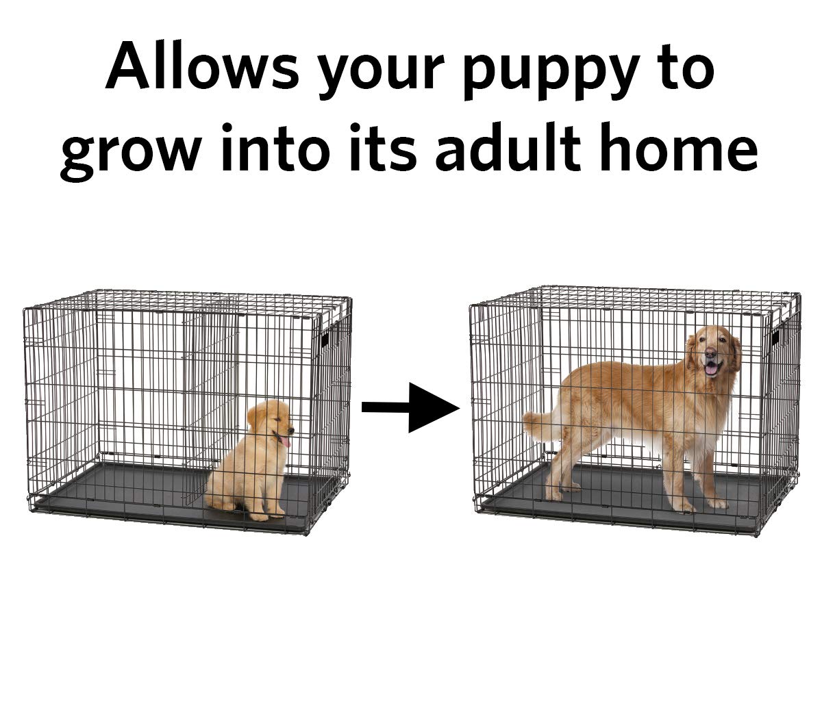 Midwest Homes For Pets Divider Panel Fits Models 1330Td, 1530 And 1530Dd