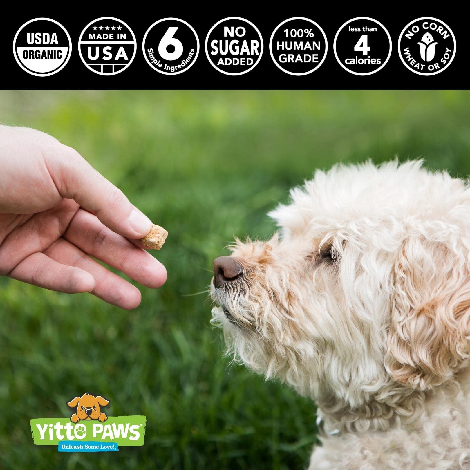 Crunchy Mini Organic Dog Training Treats - Oats, Strawberries & Peanut Butter - Healthy Puppy Treats, Vegan All Natural Made in
