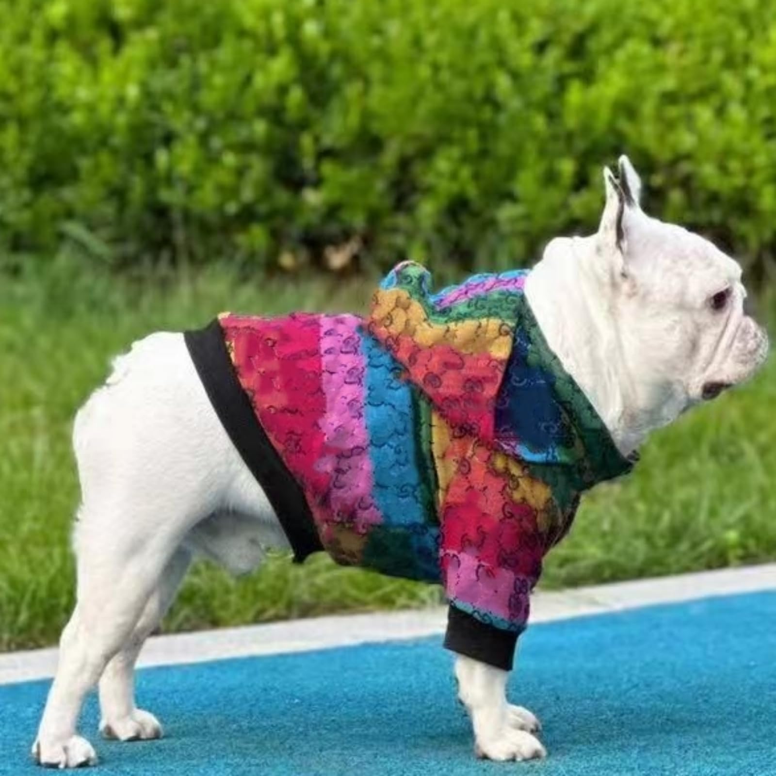 HQREA Dog Hoodie Luxury Dog Clothes Winter Dog Jacket Classic Designer Small Dog Coats Warm Pet Dog Coat Zipper Design Easy On/O