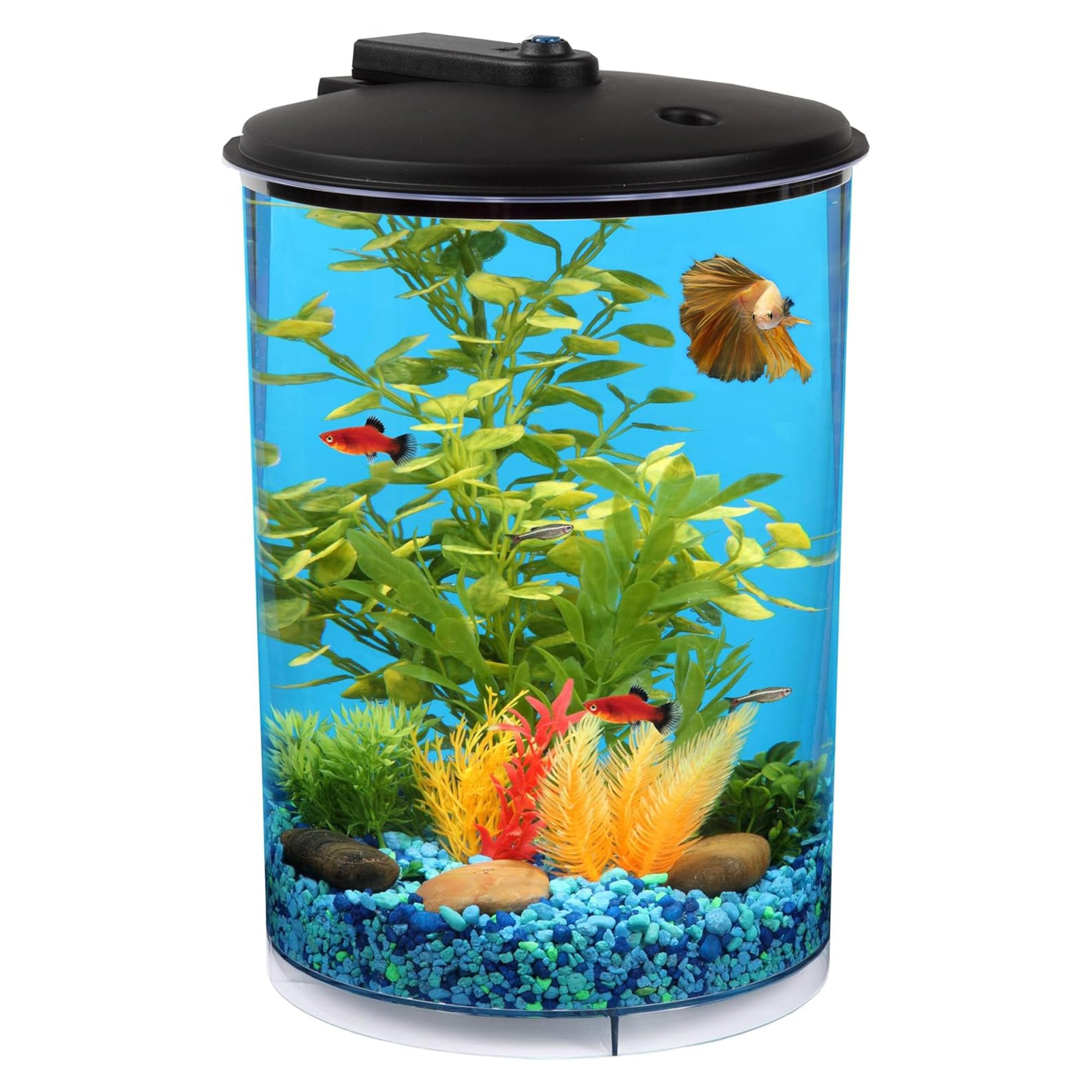 Koller Products 3-Gallon 360 Aquarium With Led Lighting (7 Color Choices) And Power Filter, Ideal For A Variety Of Tropical Fish,Crystal-Clear Clarity,Ap360A-3Ffp