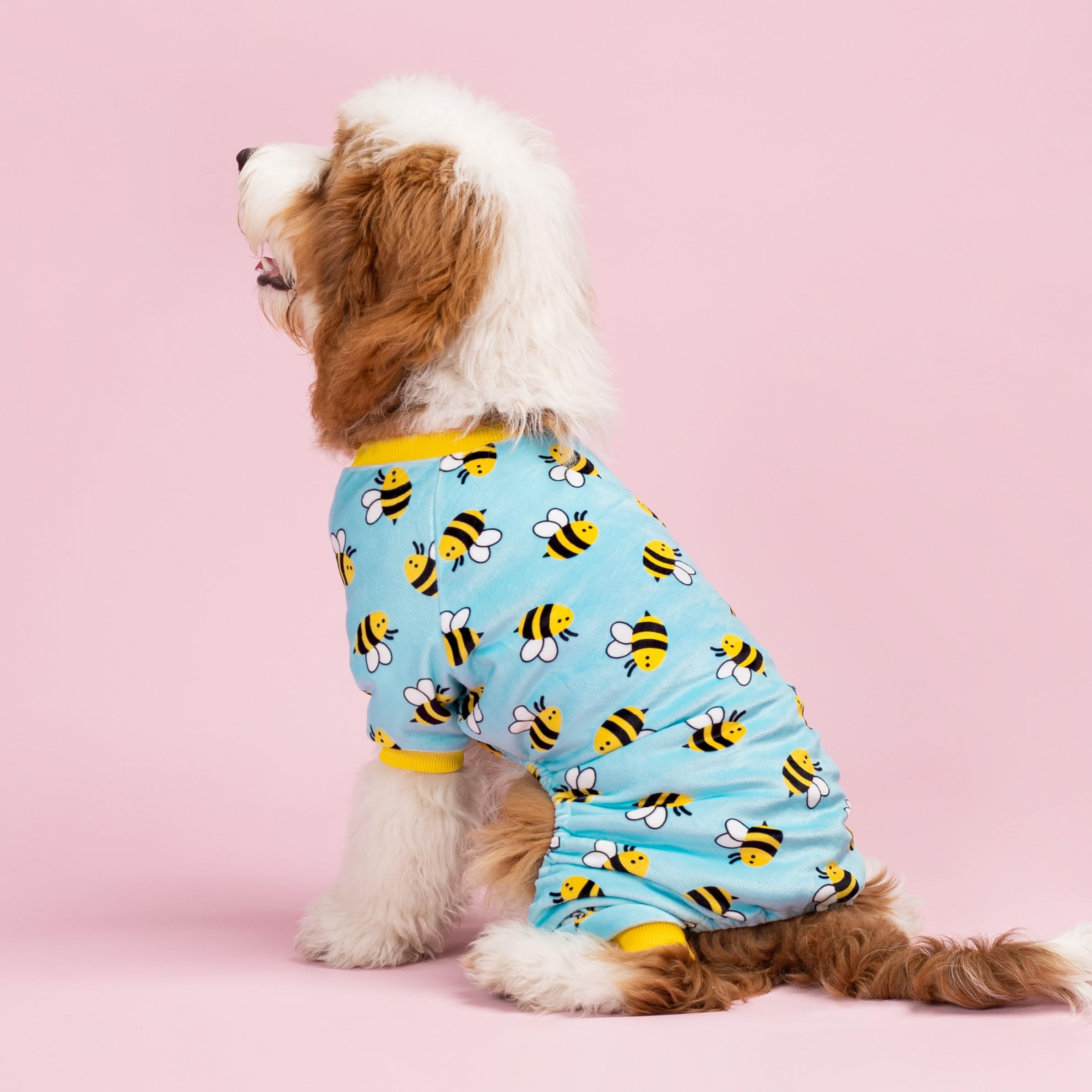Fitwarm Funny Bee Fleece Dog Pajamas, Warm Winter Dog Clothes For Small Dogs Boy Girl, Cozy Pet Onesie With Feet, Light Blue, Xx