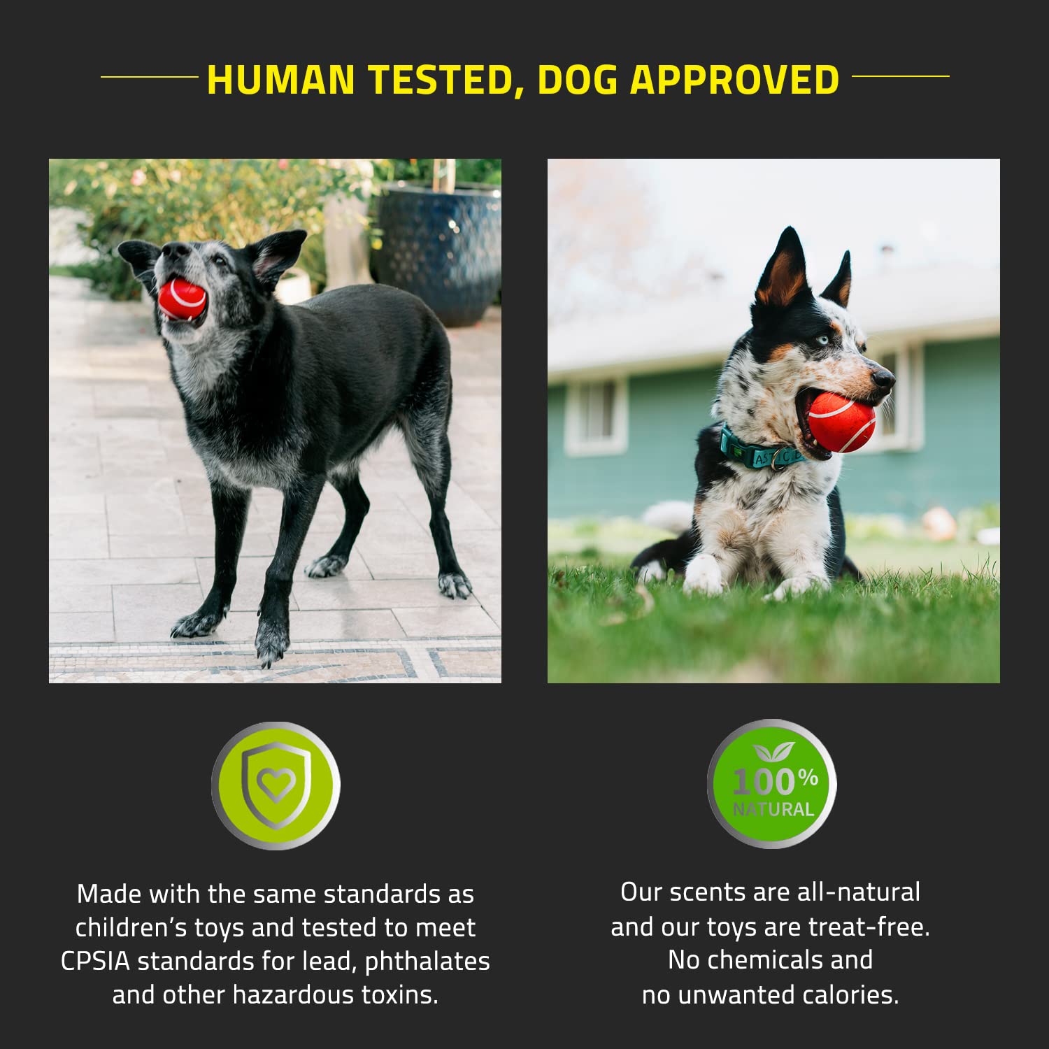 Playology Squeaky Chew Ball Dog Toy, for Extra Large Dogs (50lbs and Up) - for Heaviest Chewers - Engaging All-Natural Beef Scen