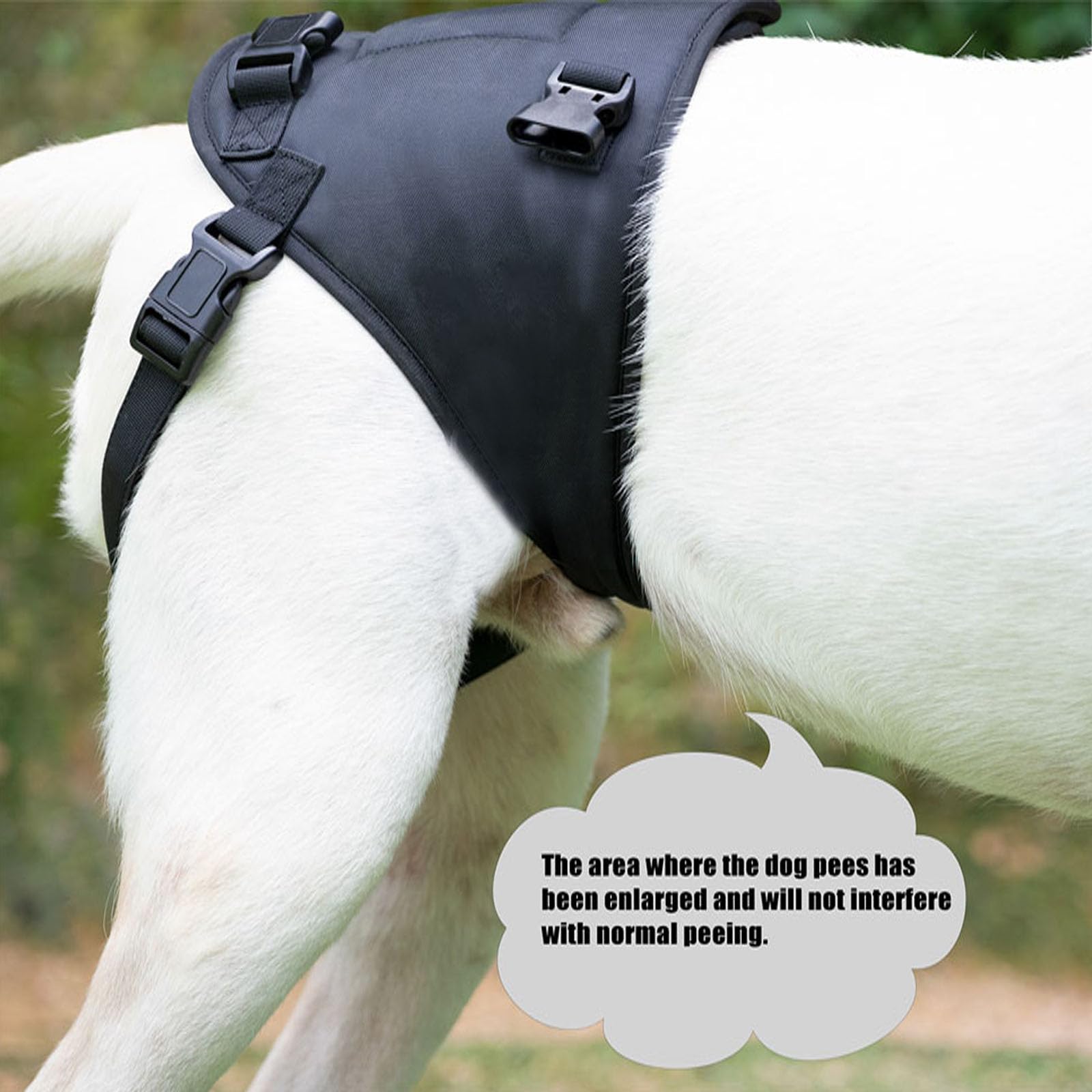 Dog Sling For Injured And Weak Hind Legs Hind Leg Support Device To Help Rehabilitate Older Dogs With Weak Hind Legs Dog Harness