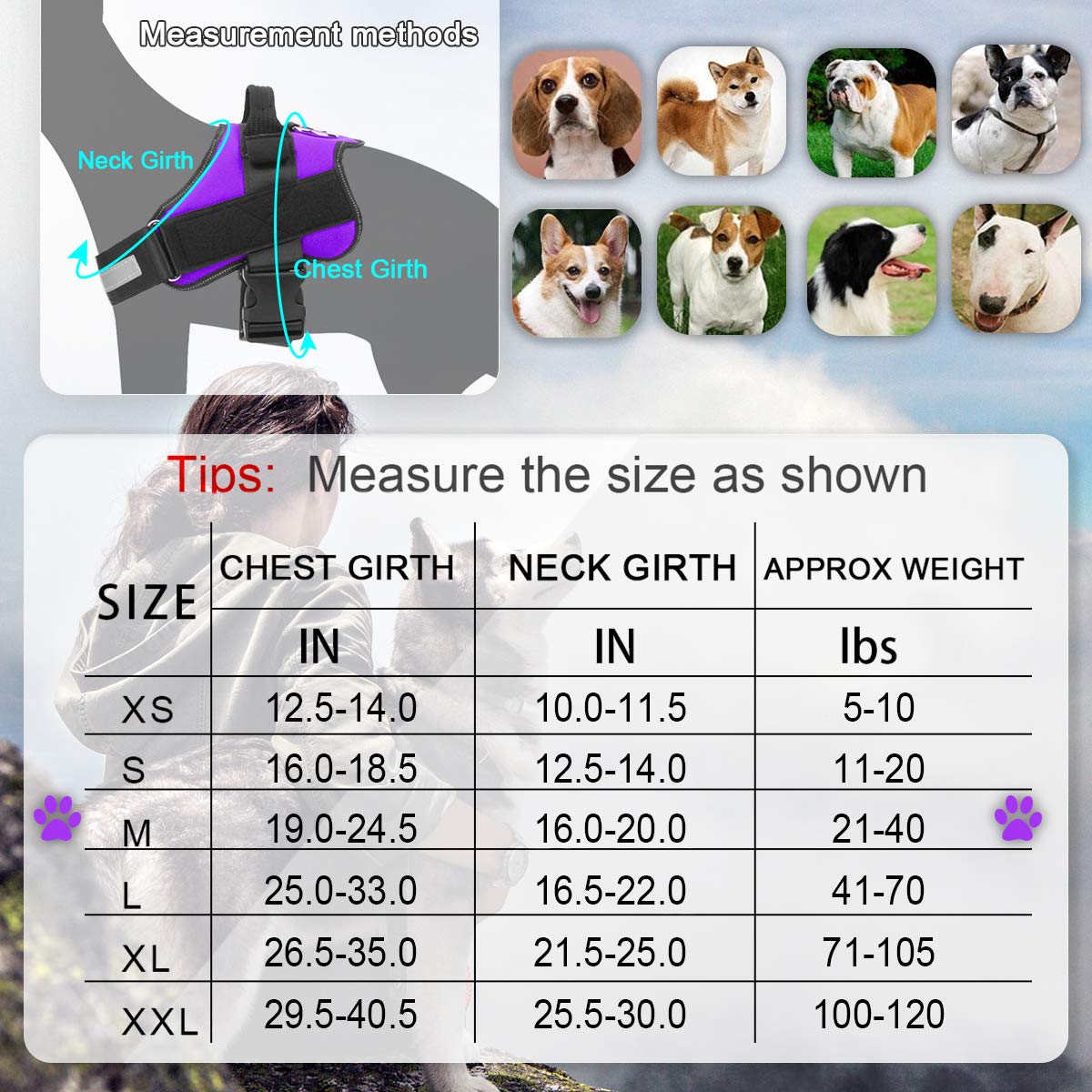 Bolux Dog Harness, No-Pull Reflective Dog Vest, Breathable Adjustable Pet Harness With Handle For Outdoor Walking - No More Pulling, Tugging Or Choking (Purple, M)