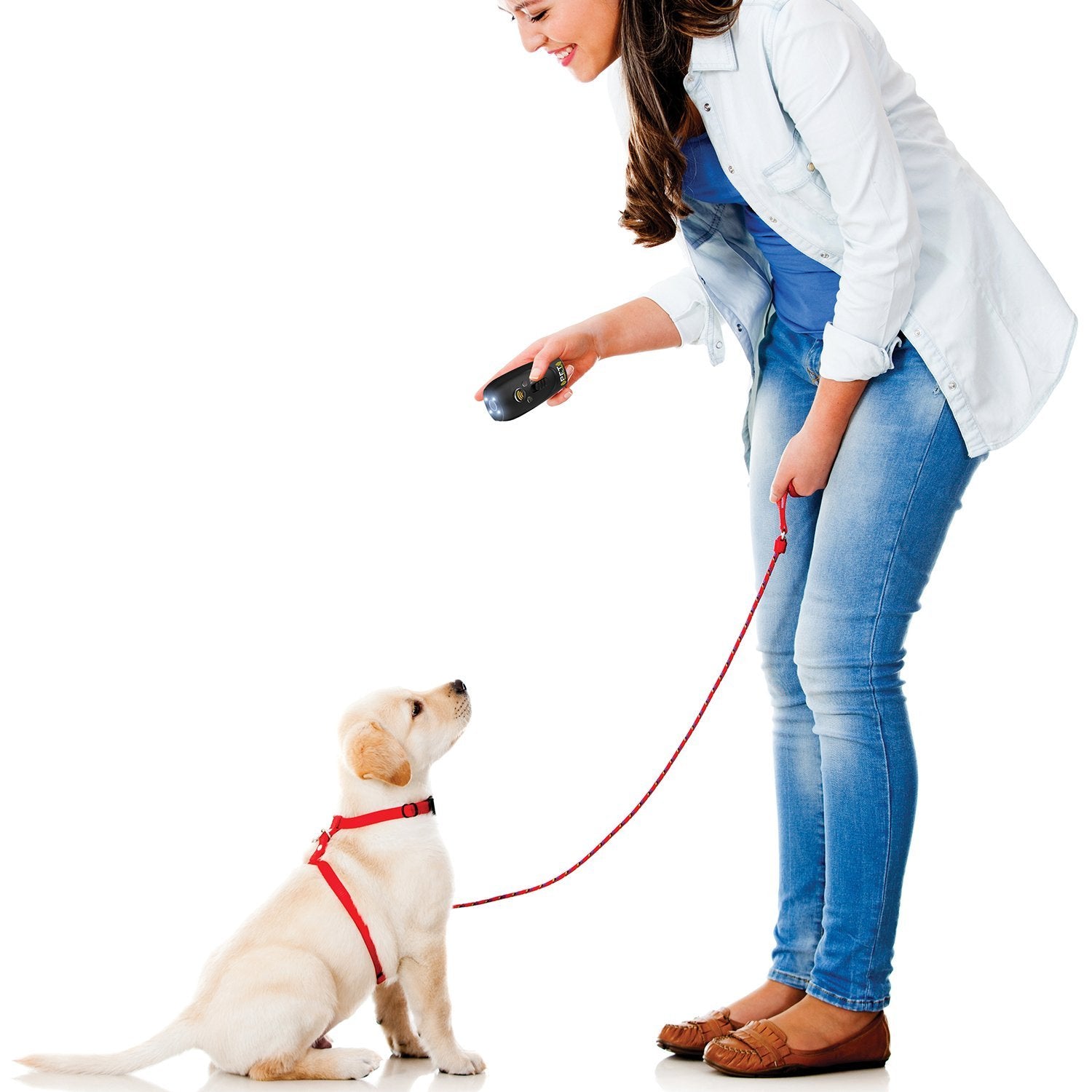 Emsco Group Pet Zoom Command Ultimate Dog Training System
