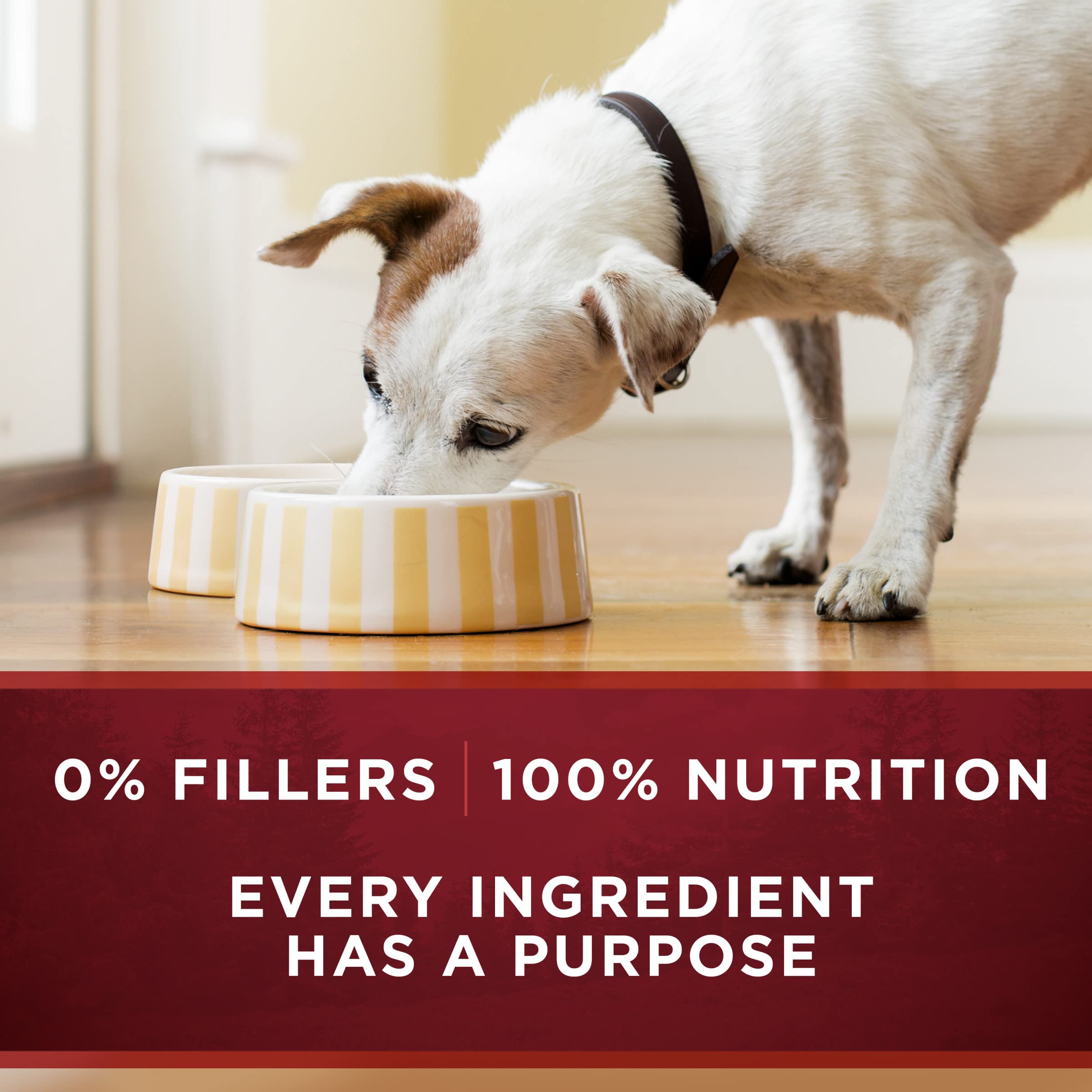 Purina ONE Wet Dog Food True Instinct Classic Ground Grain-Free Formula With Real Chicken and Duck High Protein Dog Food - (Pack
