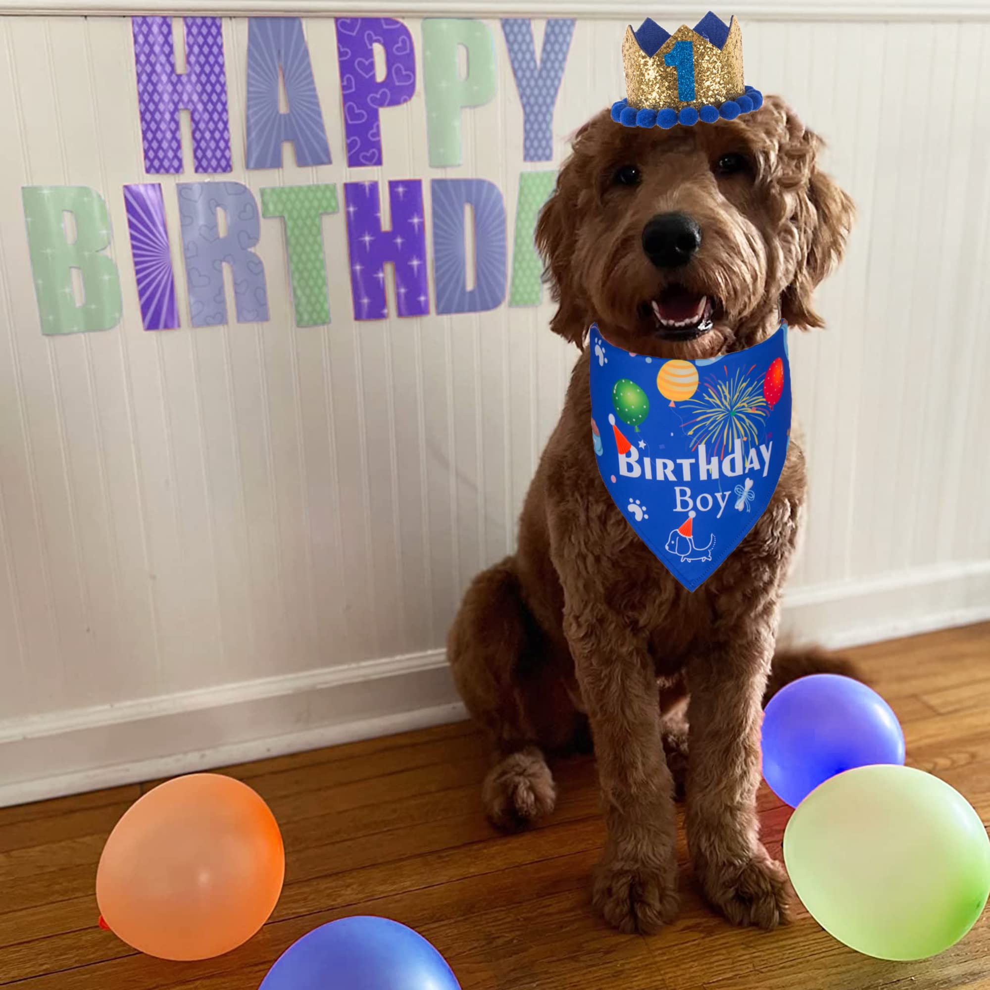 ADOGGYGO Dog Bandana Hat Set for Birthday Party Supply, Boy Girl Puppy Birthday Scarf for Small Dog (Small, Blue)