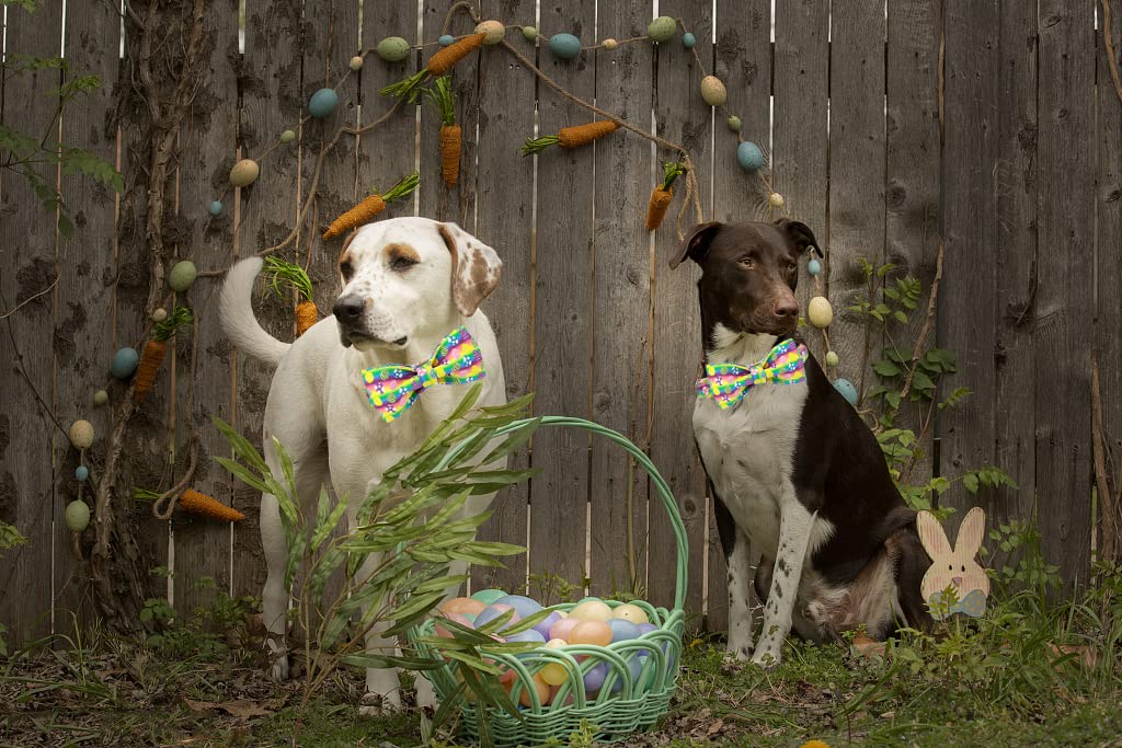 Elegant Little Tail Dog Collar With Bow, Easter Bow Tie Dog Collar, Cute Dog Bowtie Pet Gift Dog Collar For Medium Dogs