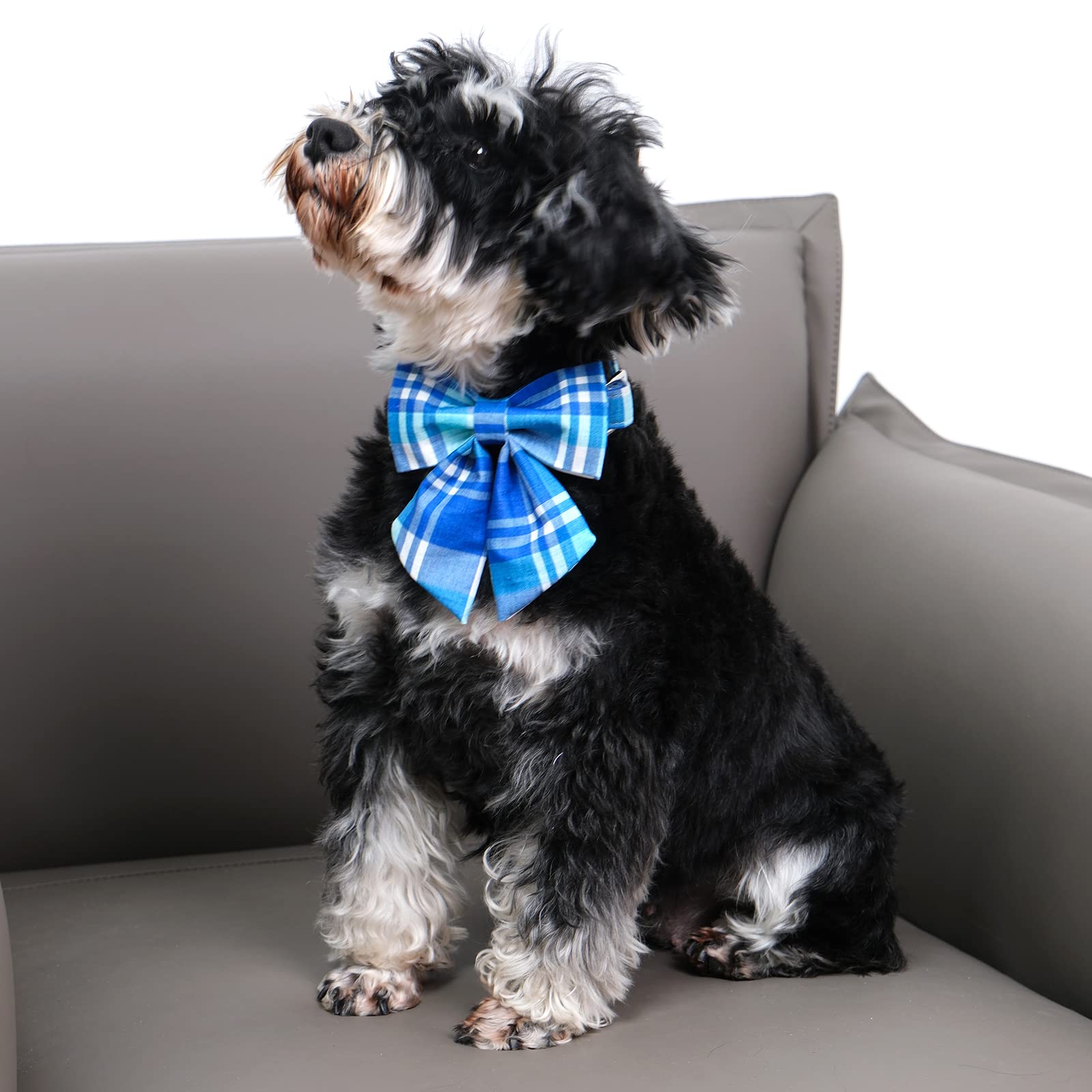 Dogwong Cotton Blue Plaid Dog Collar, Cotton Dog Collar With Bow Cute Boy Dog Collar Puppy Necklace For Female Small Medium Larg