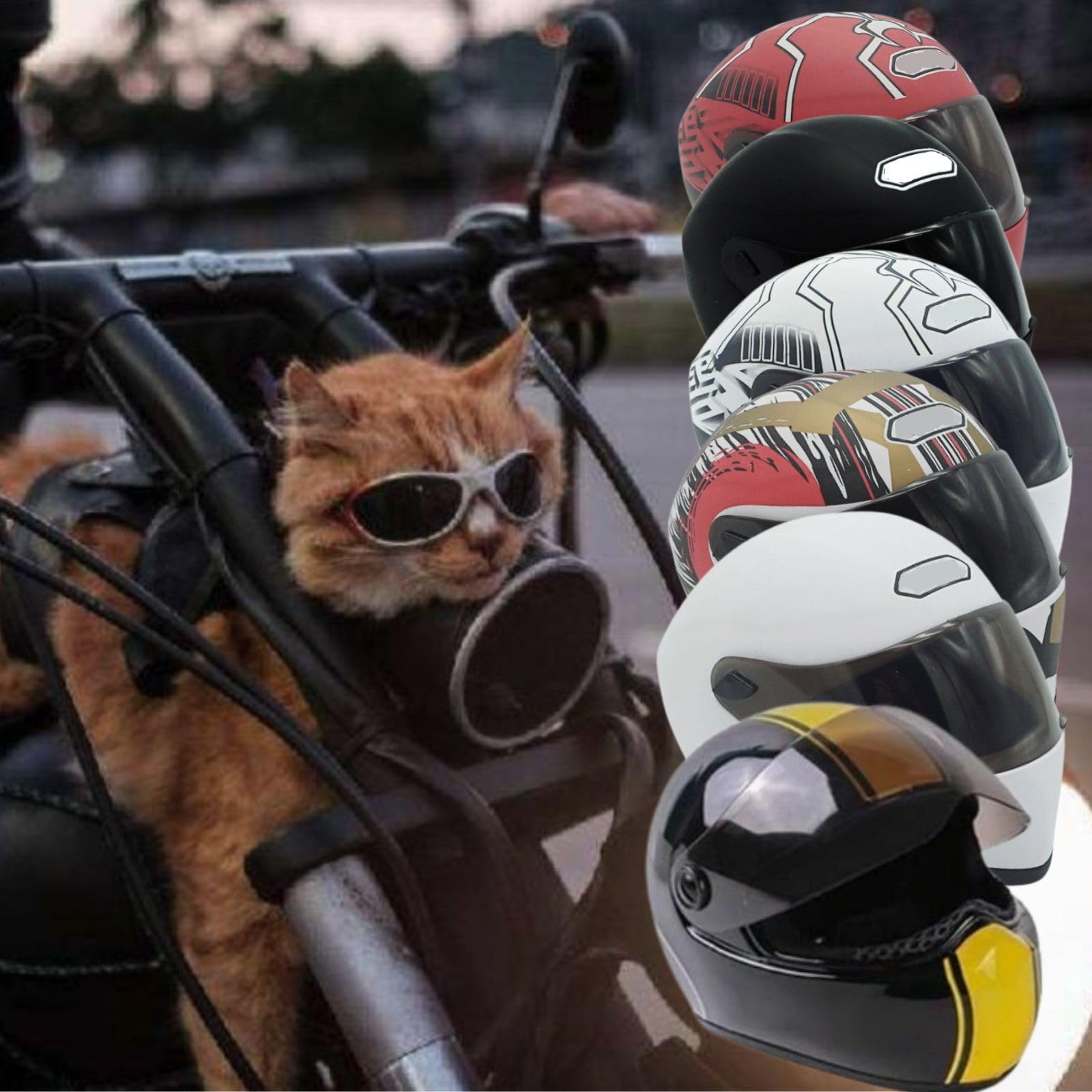 Kunbiuh Pet Motorcycle Helmet For Cat/Dog, Full Face, Outdoor, Black