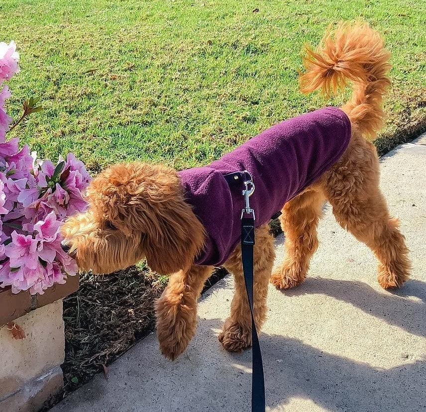 Gooby Fleece Vest Hoodie Dog Sweater - Purple, X-Small - Warm Pullover Dog Hoodie With O-Ring Leash - Winter Hooded Small Dog Sweater - Dog Clothes For Small Dogs Boy Or Girl, And Medium Dogs