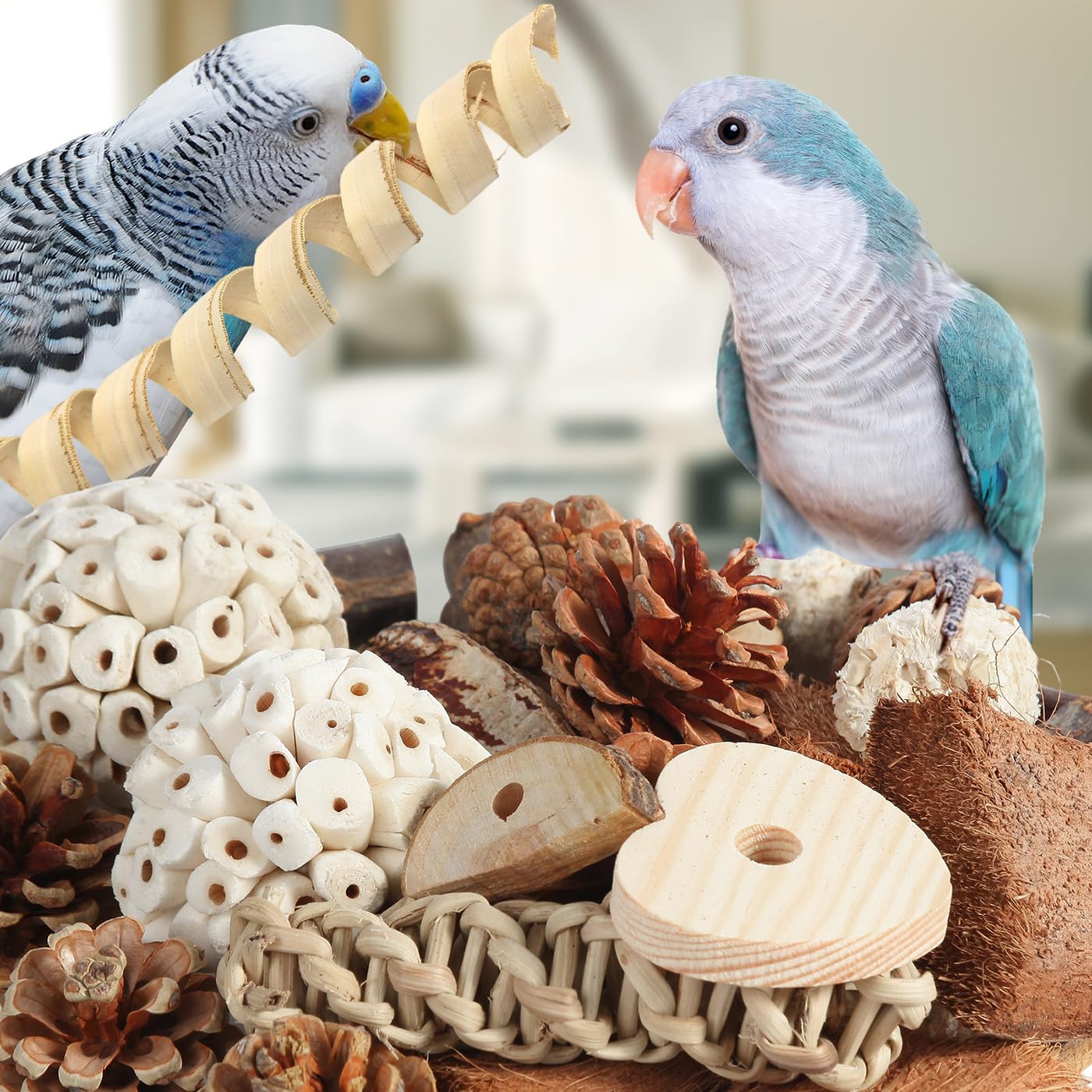 Kyouki Bird Toys Parrot Toys Natural Bird Foraging Box Foot Toys For Parakeets,Cockatiels,Conures,Love Birds,And Other Small To